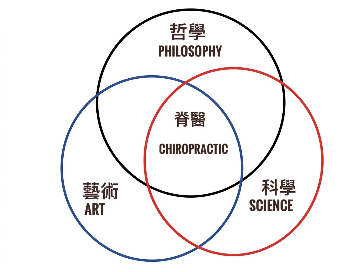 脊骨神經醫學概念