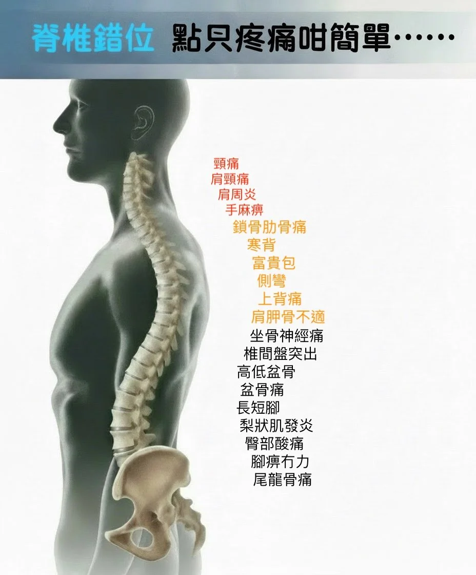 An illustration of a human spine and pelvis with a side profile of a person's head and shoulders. The image includes Chinese text listing various pains and conditions associated with the spine.