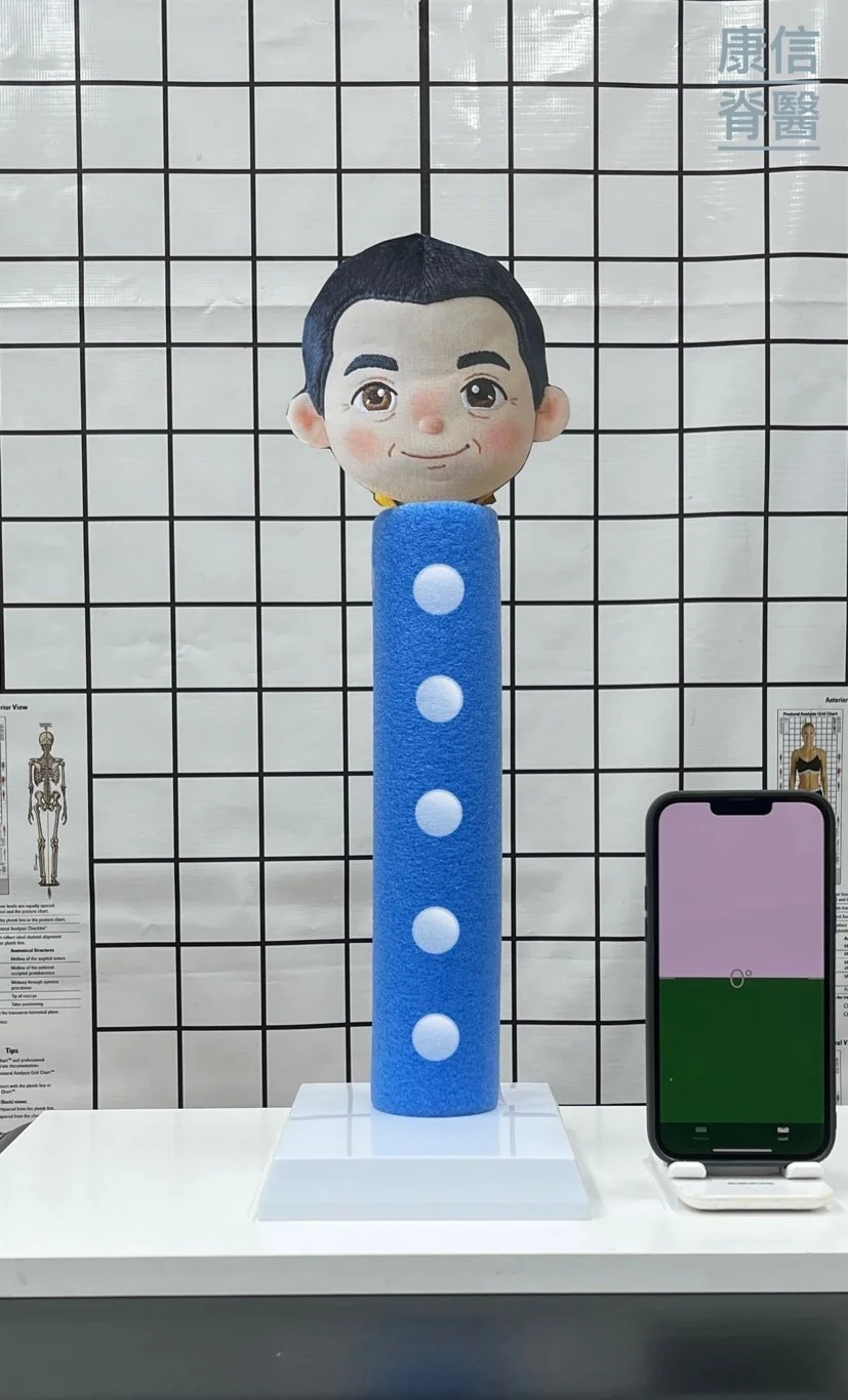 盆骨高低對脊骨的影響