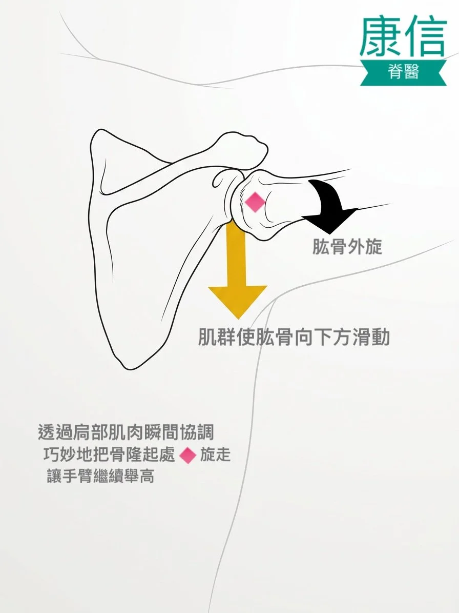 Frozen shoulder impingement syndrome