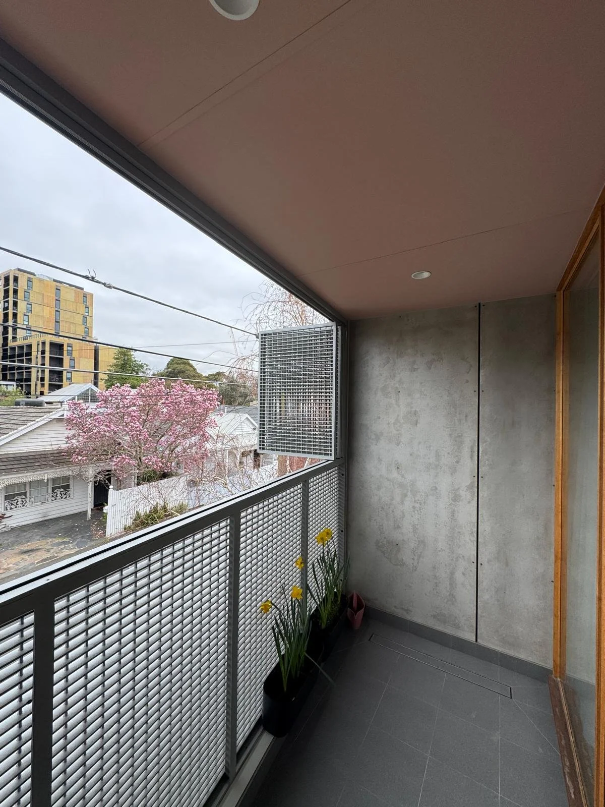 WhatsApp Image 2025-12-22 at 2.29.00 PM.jpeg