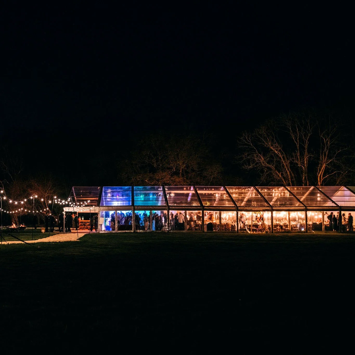 External see-through roof.jpg
