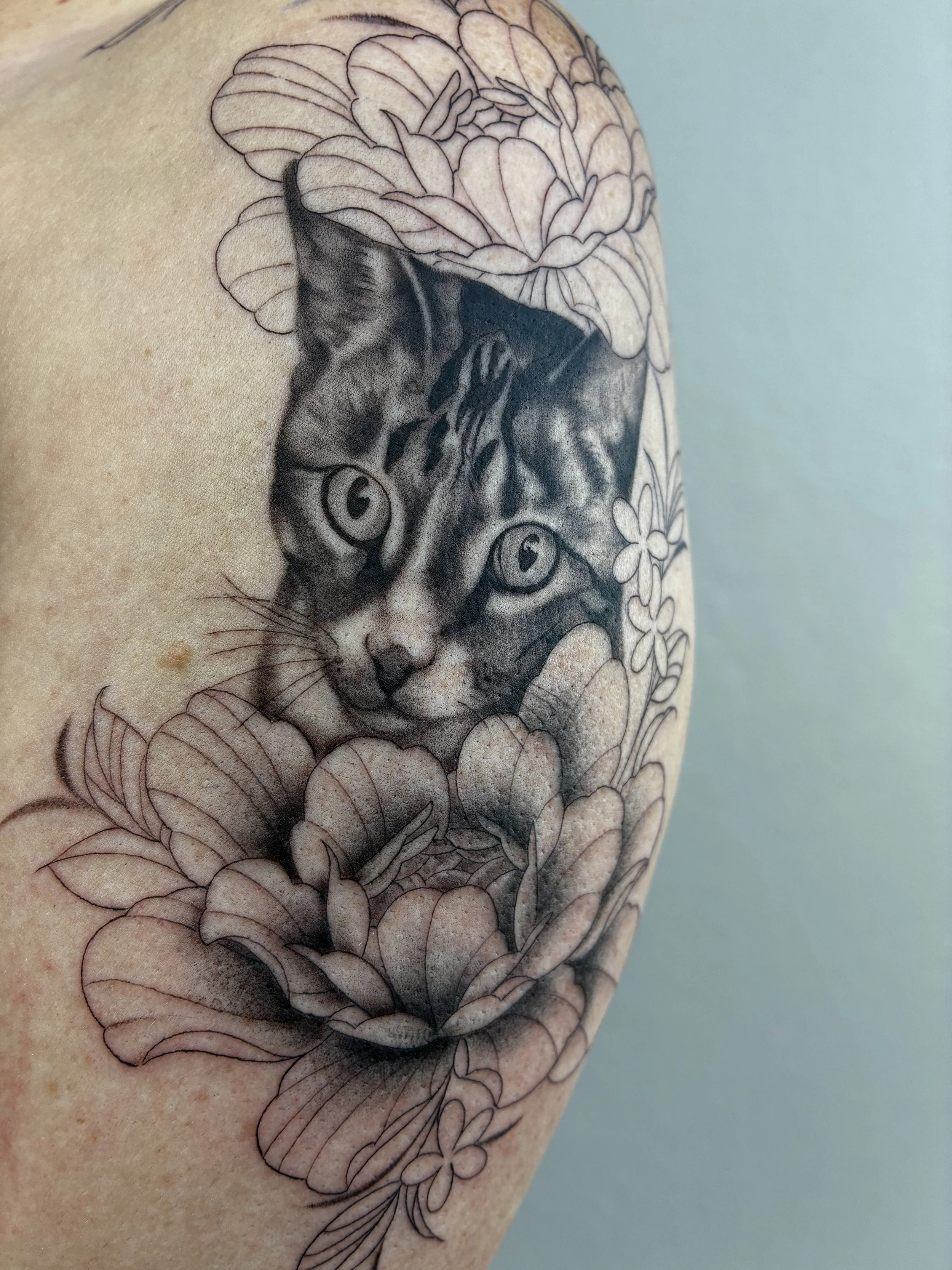 A black and gray tattoo of a cat's face surrounded by peony and other flowers on someone's skin.