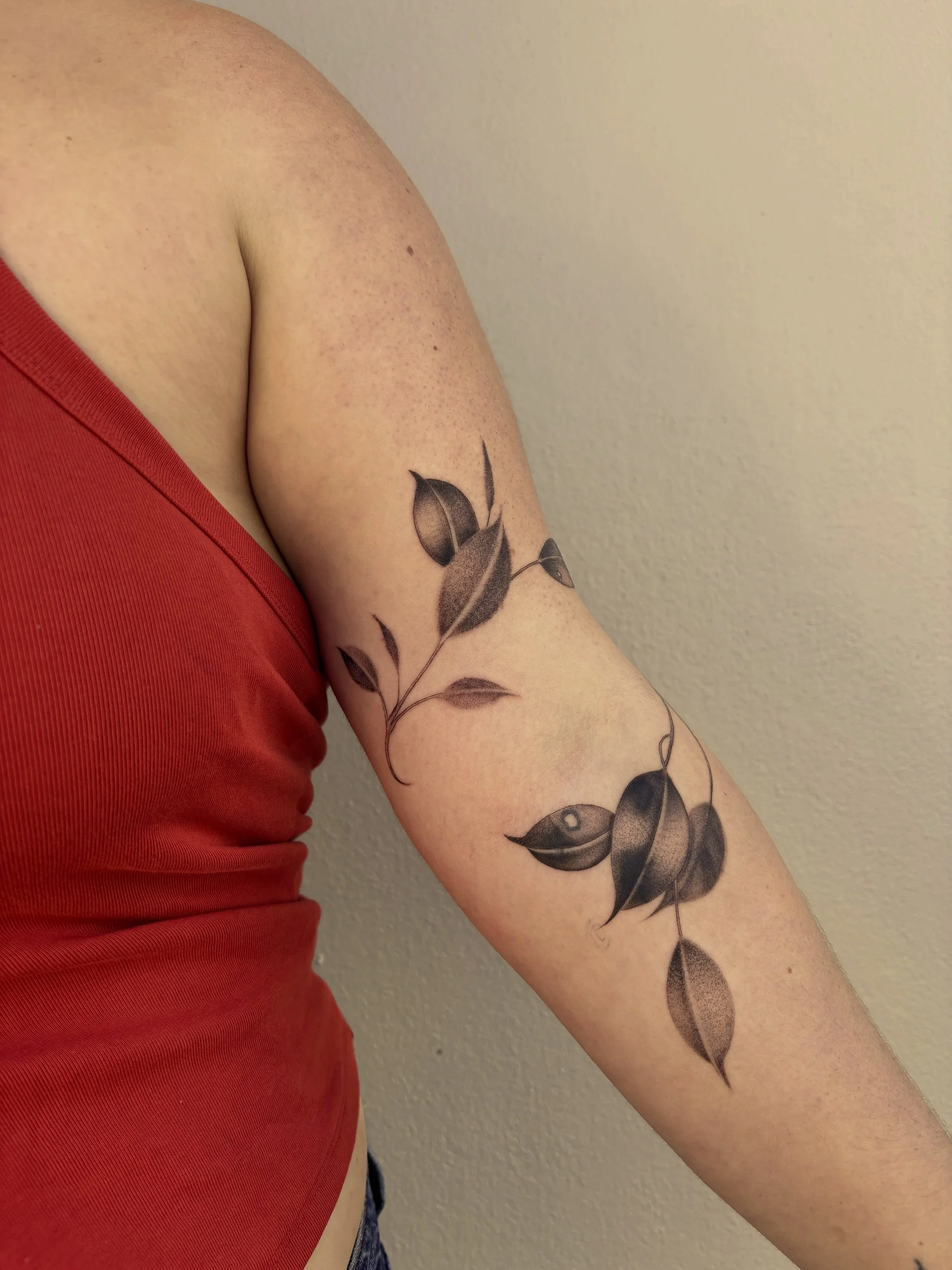 A person's upper arm with a black and gray tattoo of a leafy branch.