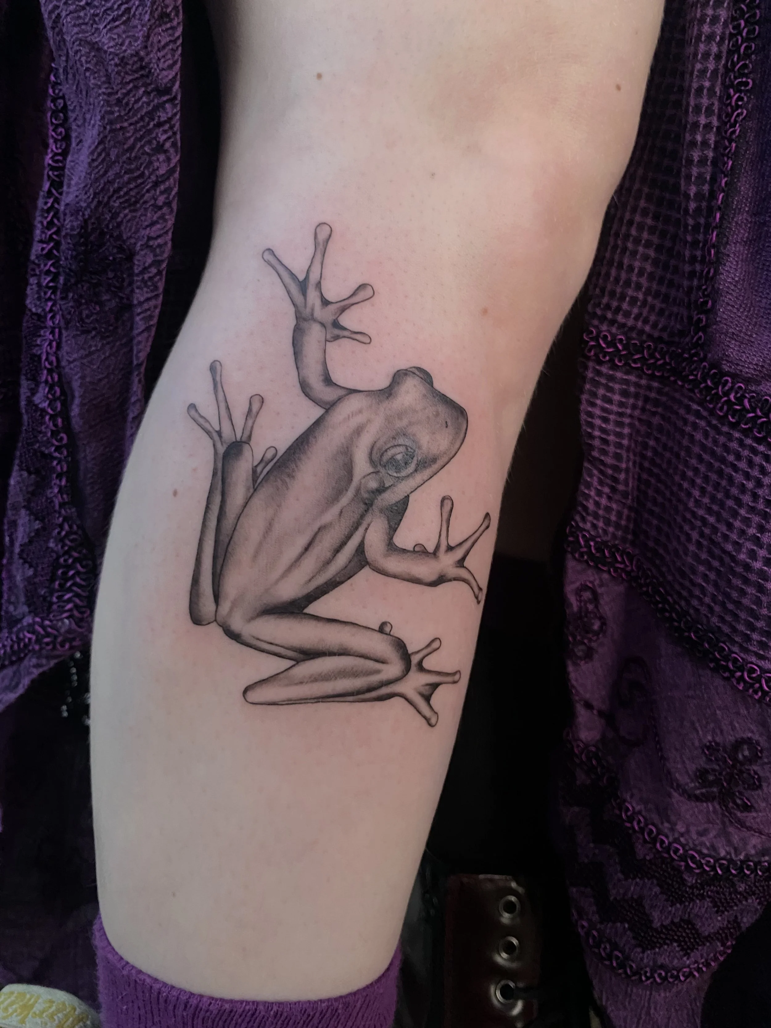 A detailed black and gray tattoo of a frog on a person's upper arm.