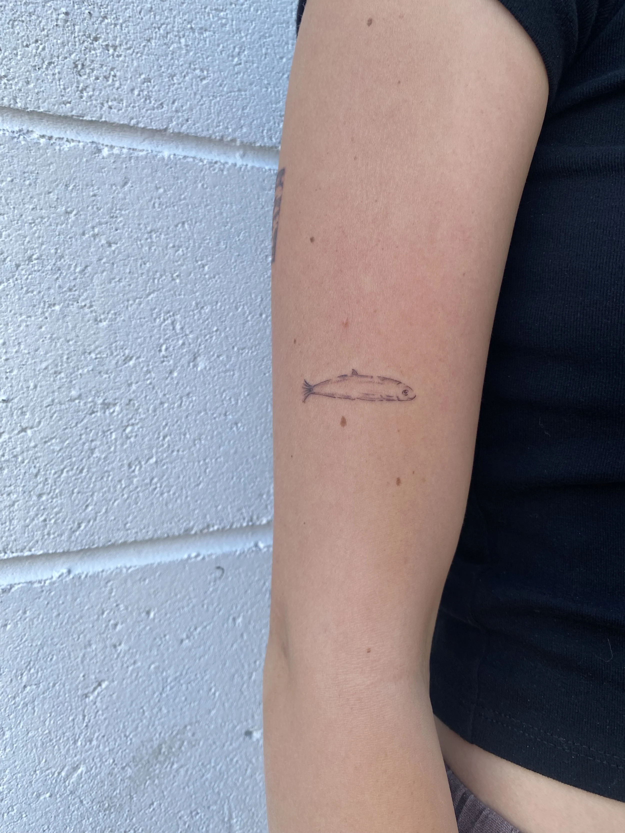 A person's arm with a small, black outline tattoo of a fish on the forearm, standing against a white textured wall.