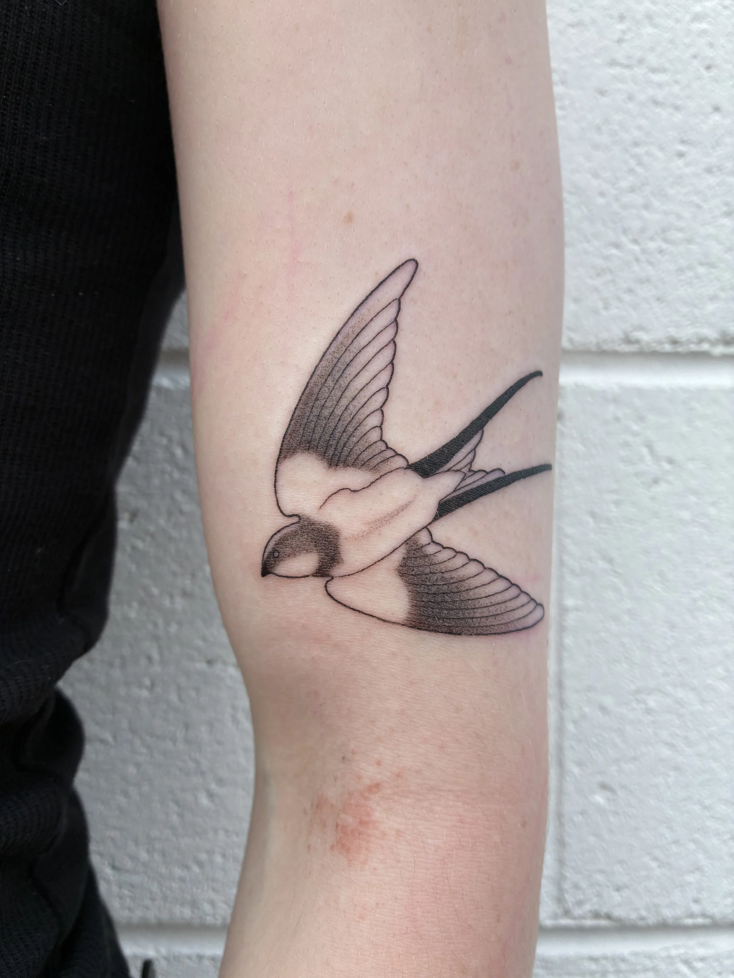 Tattoo of a small bird in flight on a person's forearm.