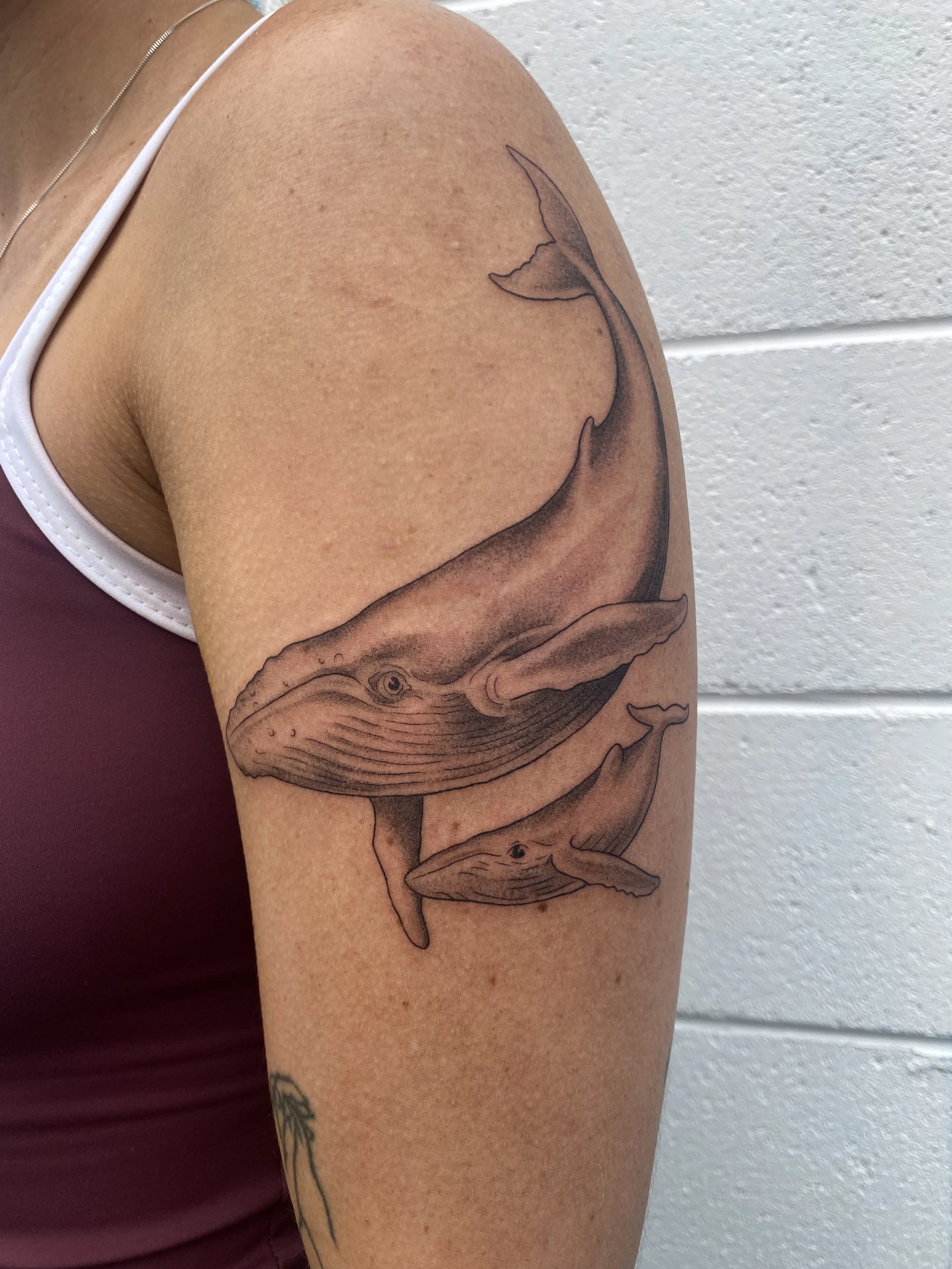 Tattoo of two whales on a person's upper arm, with one larger whale and one smaller whale, both in a realistic style.