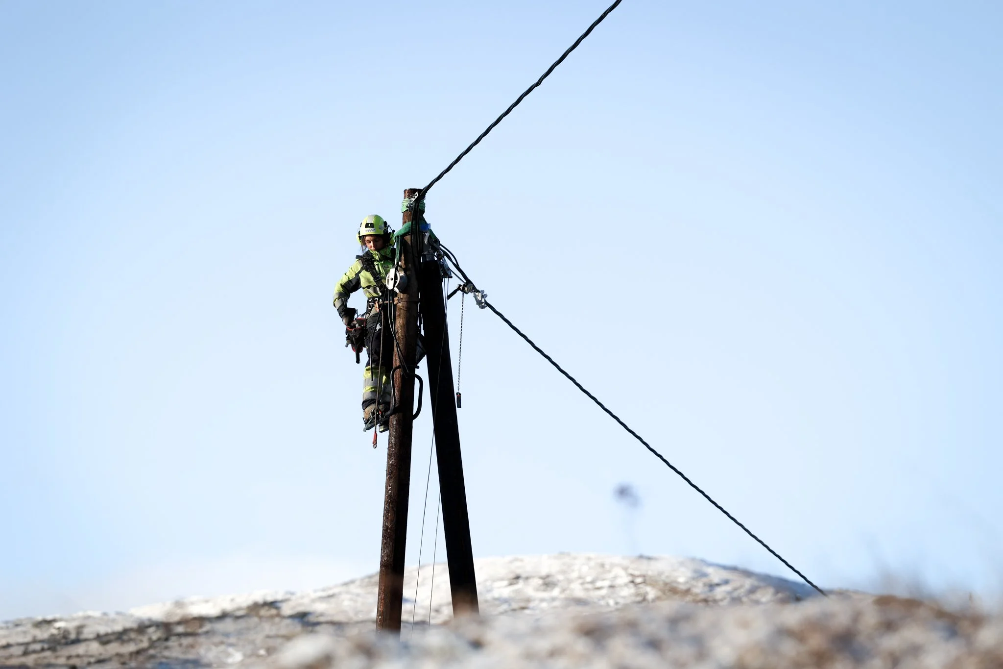 Thea i toppen av stolpe, fjell i bakgrunnen