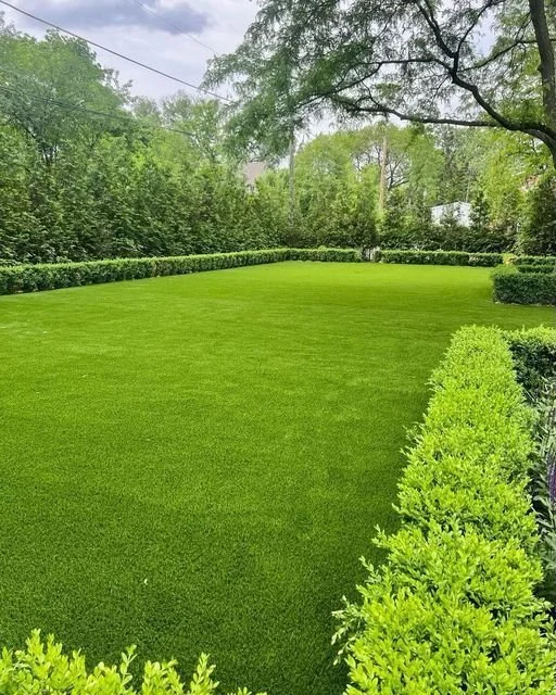 Lush green backyard lawn surrounded by trimmed bushes and tall trees under an overcast sky.