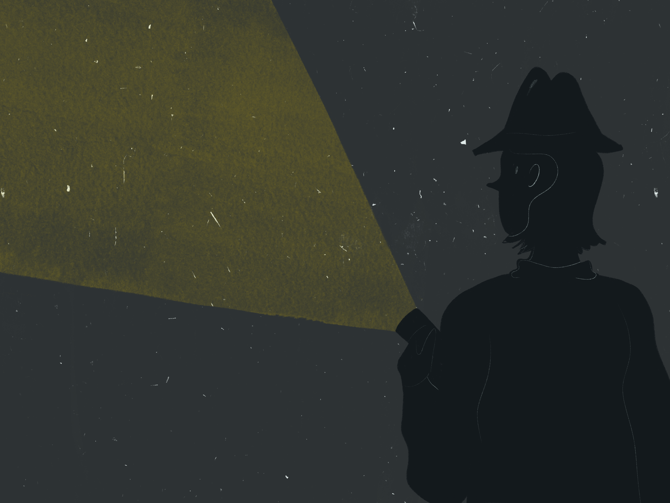 Silhouette of a person wearing a hat, holding a flashlight, illuminating a dark, starry sky.