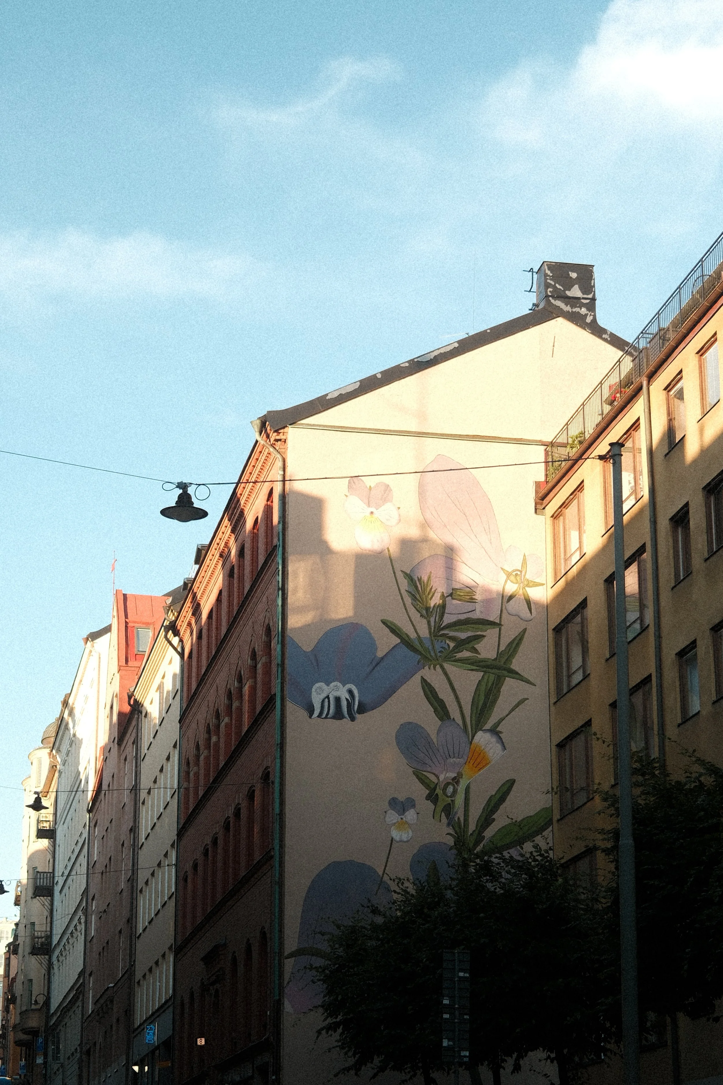 DSCF3212.JPG