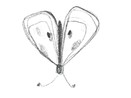 A black and white illustration of a butterfly with symmetrical wings.