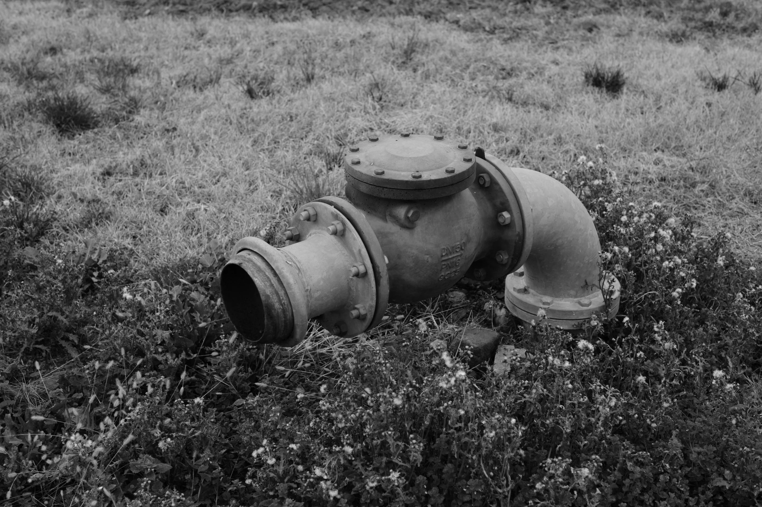 Tubi di conduttura abbandonati in un campo con erba e piccoli fiori.