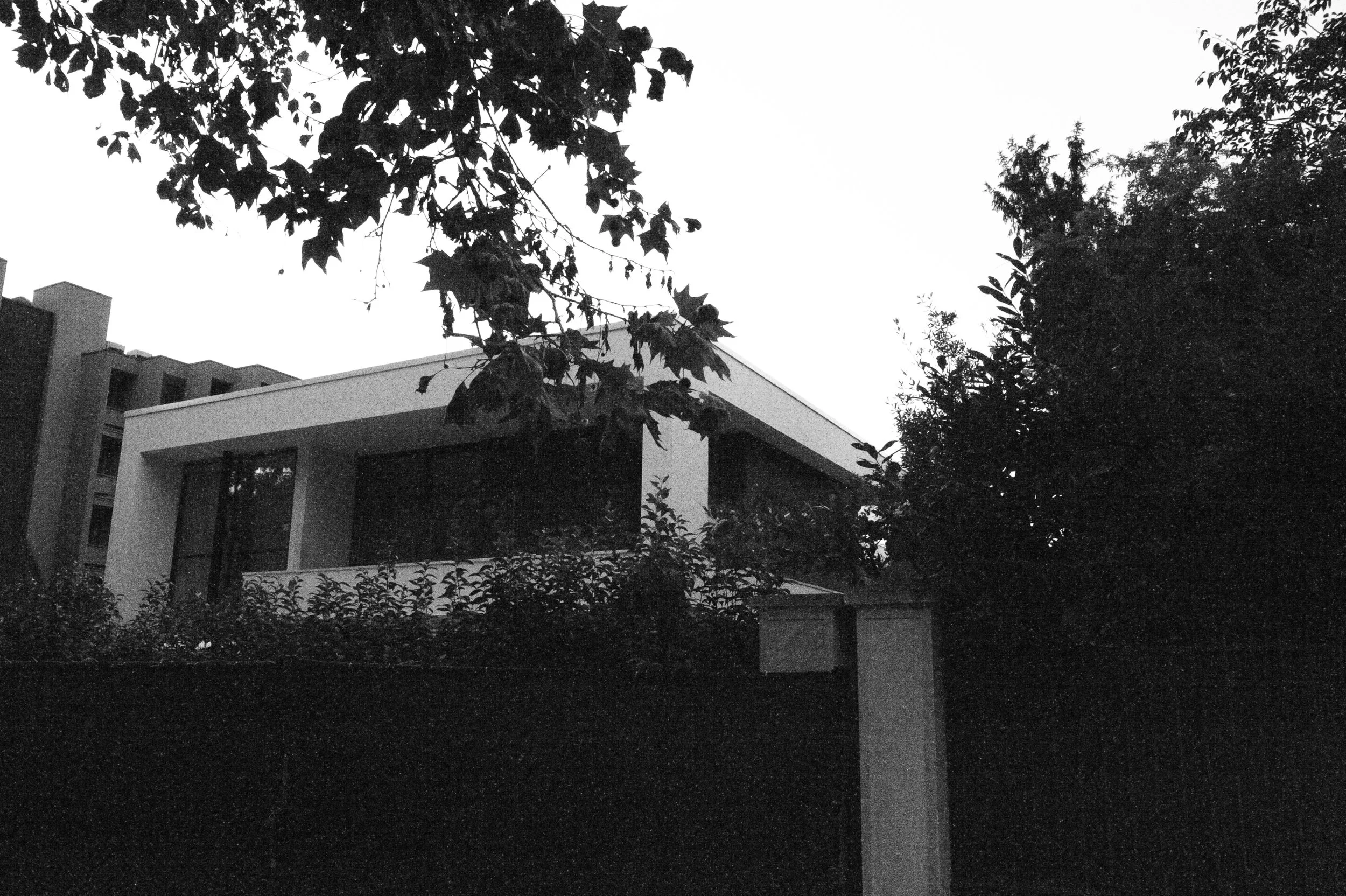 Casa moderna bianca con grandi finestre, circondata da alberi e piante, vista in controluce