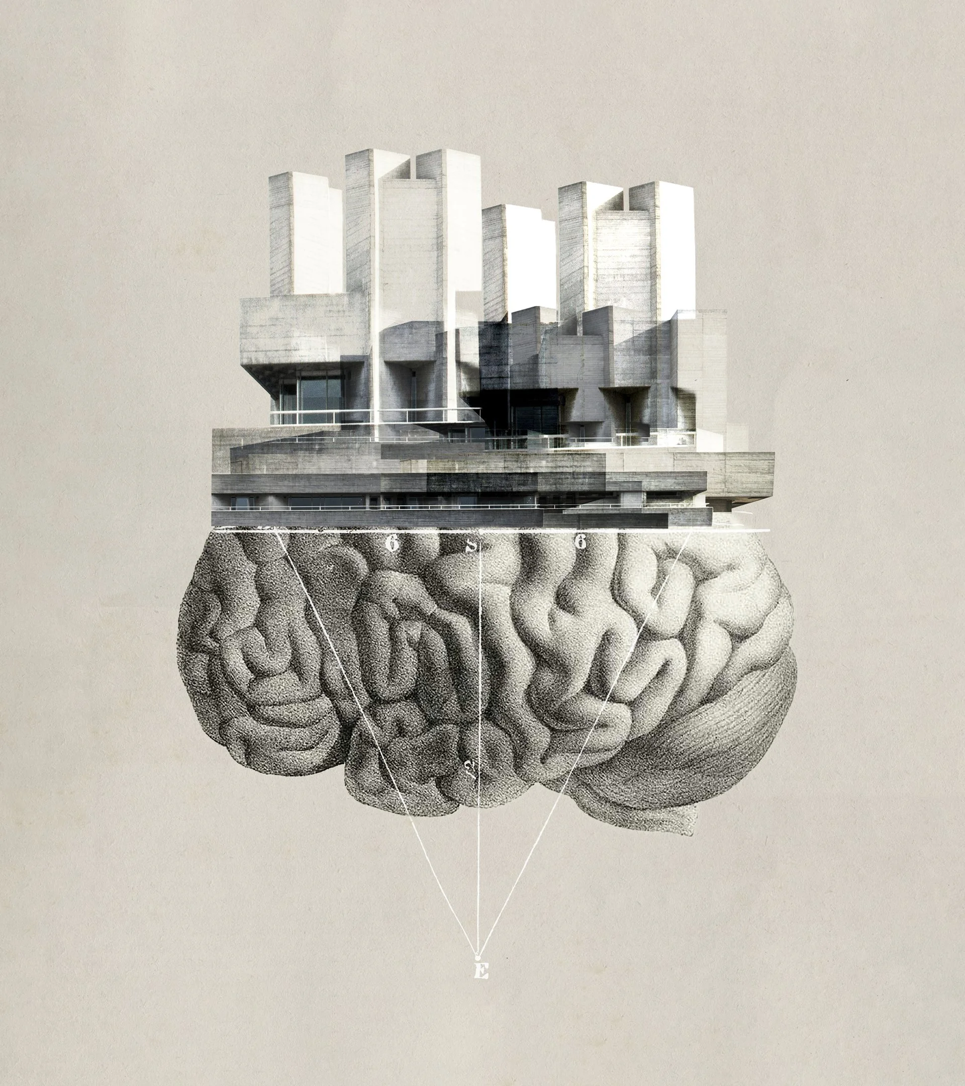 Postgraduate degree in neuroarchitecture