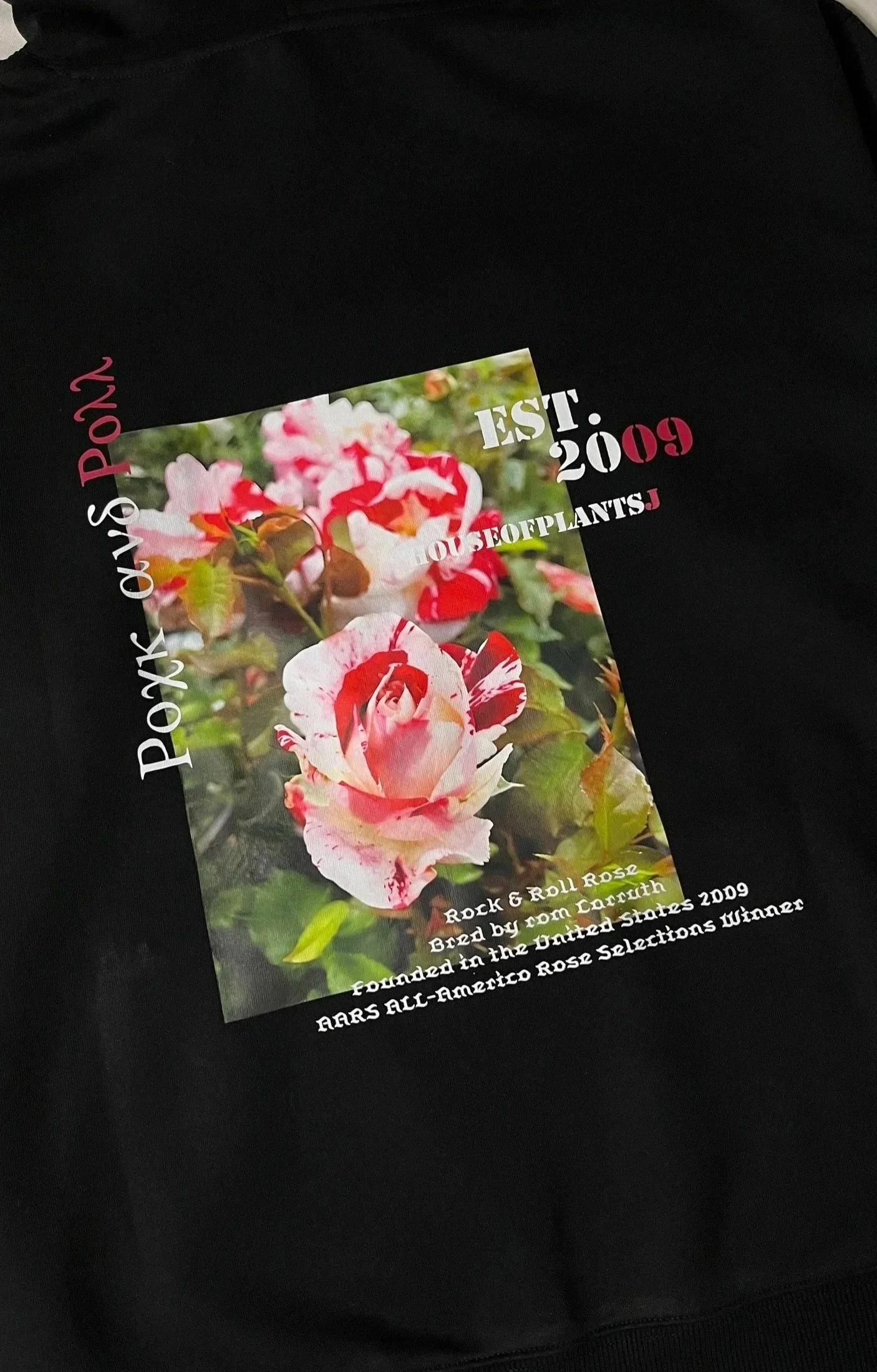 'Rock & Roll' Hoodie