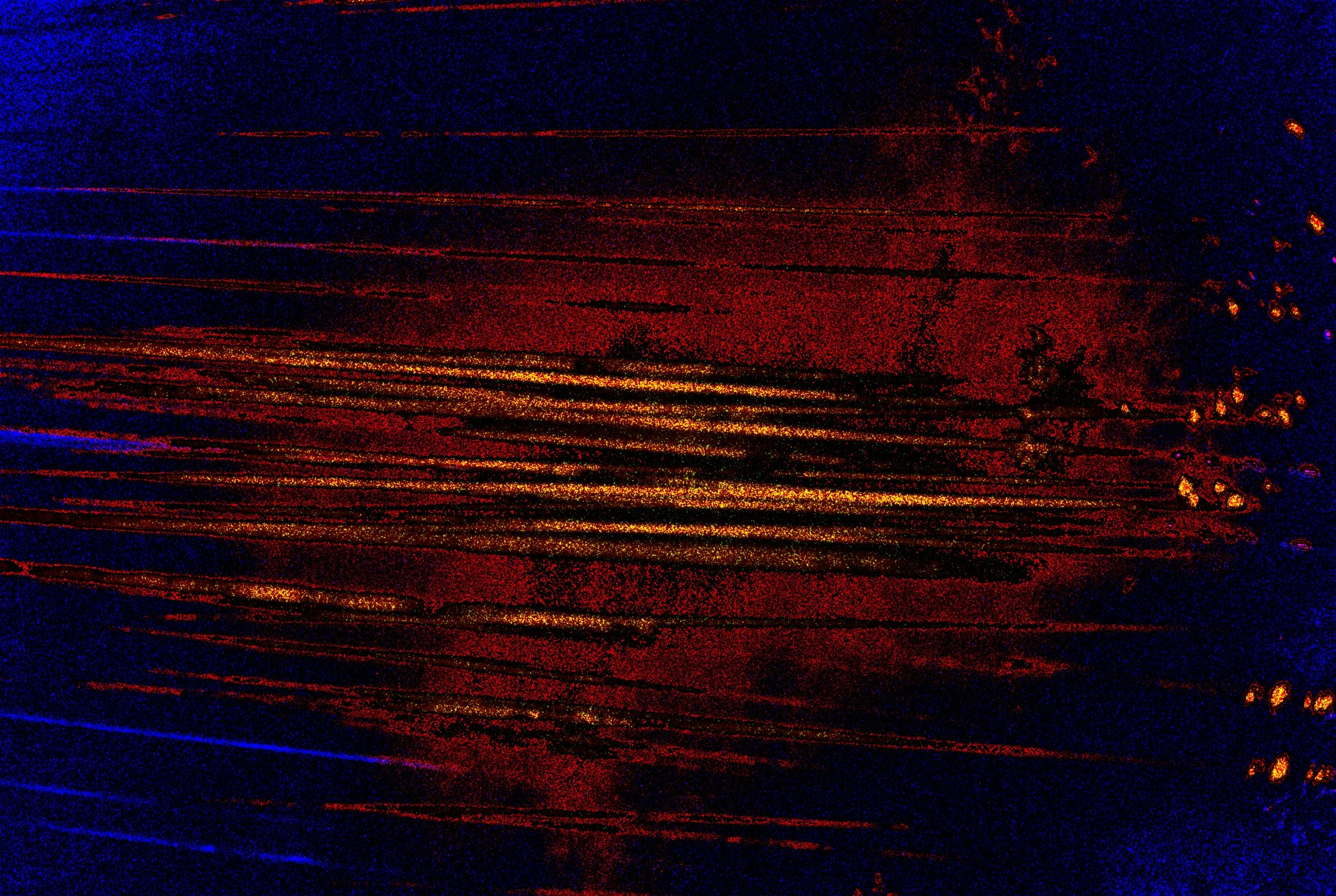 Gullslotte som hang i lufta