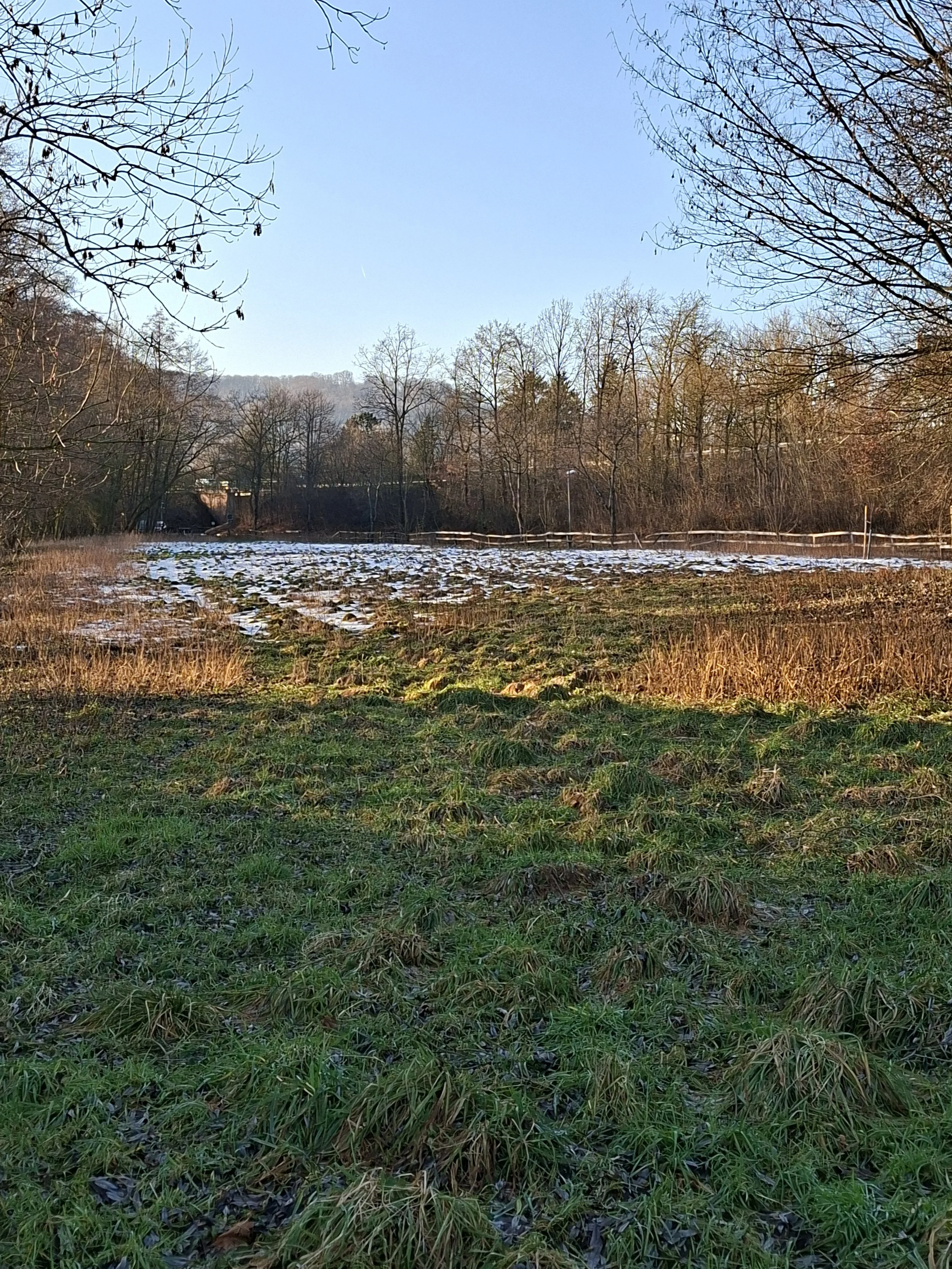 Eine Winterlandschaft mit grünem Gras im Vordergrund, einigen Schneeresten, Bäumen ohne Blätter und einem blauen Himmel.