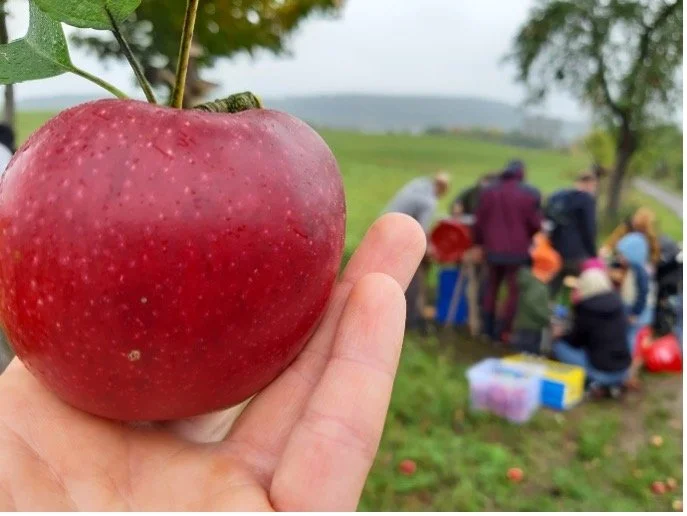 Gärtnern macht glücklich