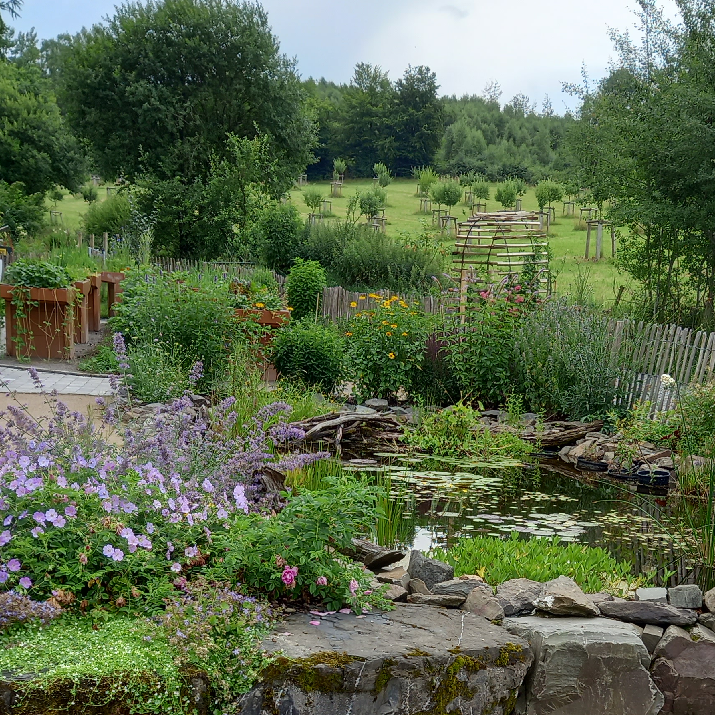 Wenn CSR erlebbar wird: Fledermäuse, Firmenbiotope und Verantwortung