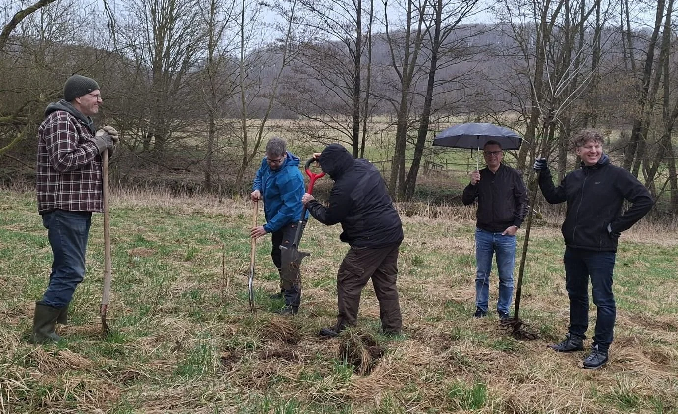 Natur am Arbeitsplatz: Wie grüne Arbeitsumgebungen Stress reduzieren und Leistung steigern