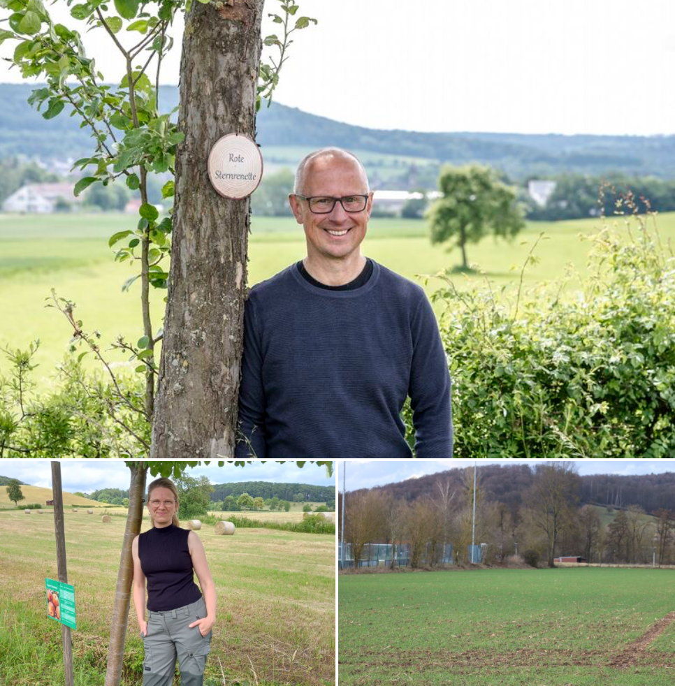 Obstwiese anlegen: Teamevent &amp; Baumpatenschaft für Unternehmen