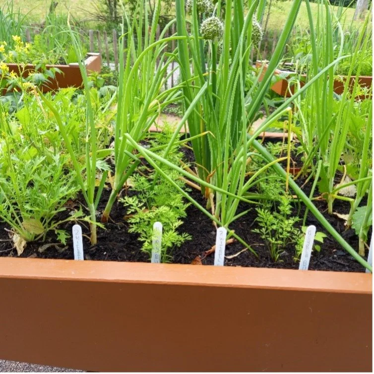 Firmenbiotop Beispiele: Wie Unternehmen Natur erfolgreich integrieren