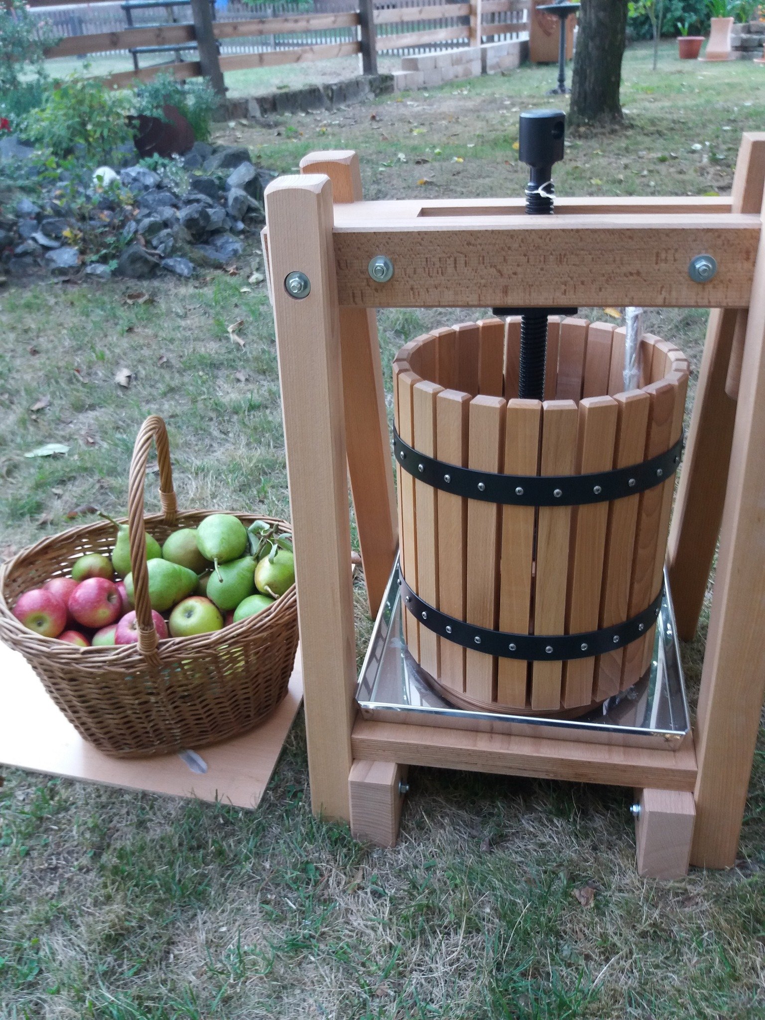 Ein Obstpress mit einem Korb voller Äpfel im Garten.