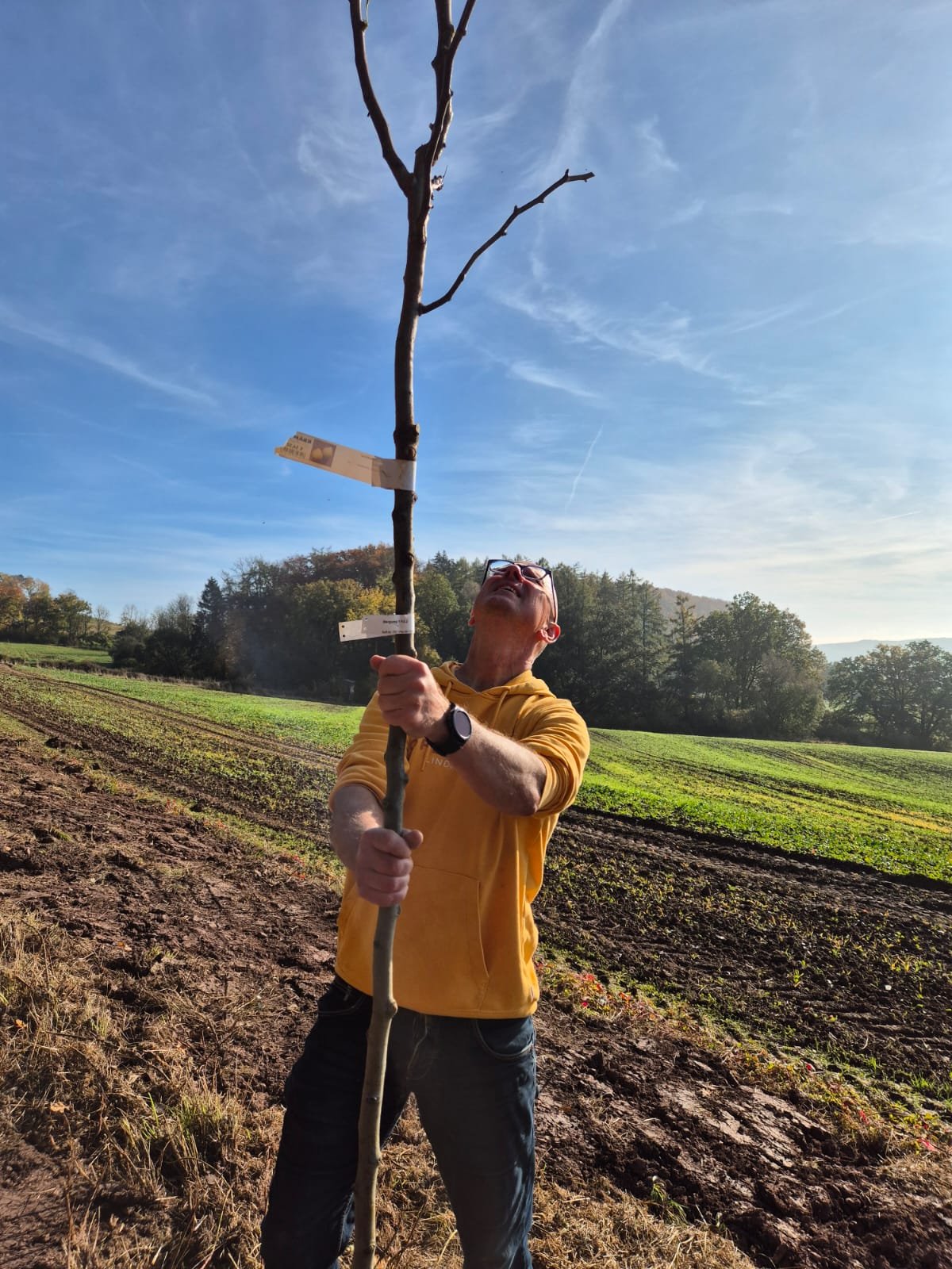 Ein Mann in einer gelben Jacke hält einen ausladenden, jungen Baum in der Hand, im Hintergrund ein offenes Feld und ein blauer Himmel, sonniges Wetter.