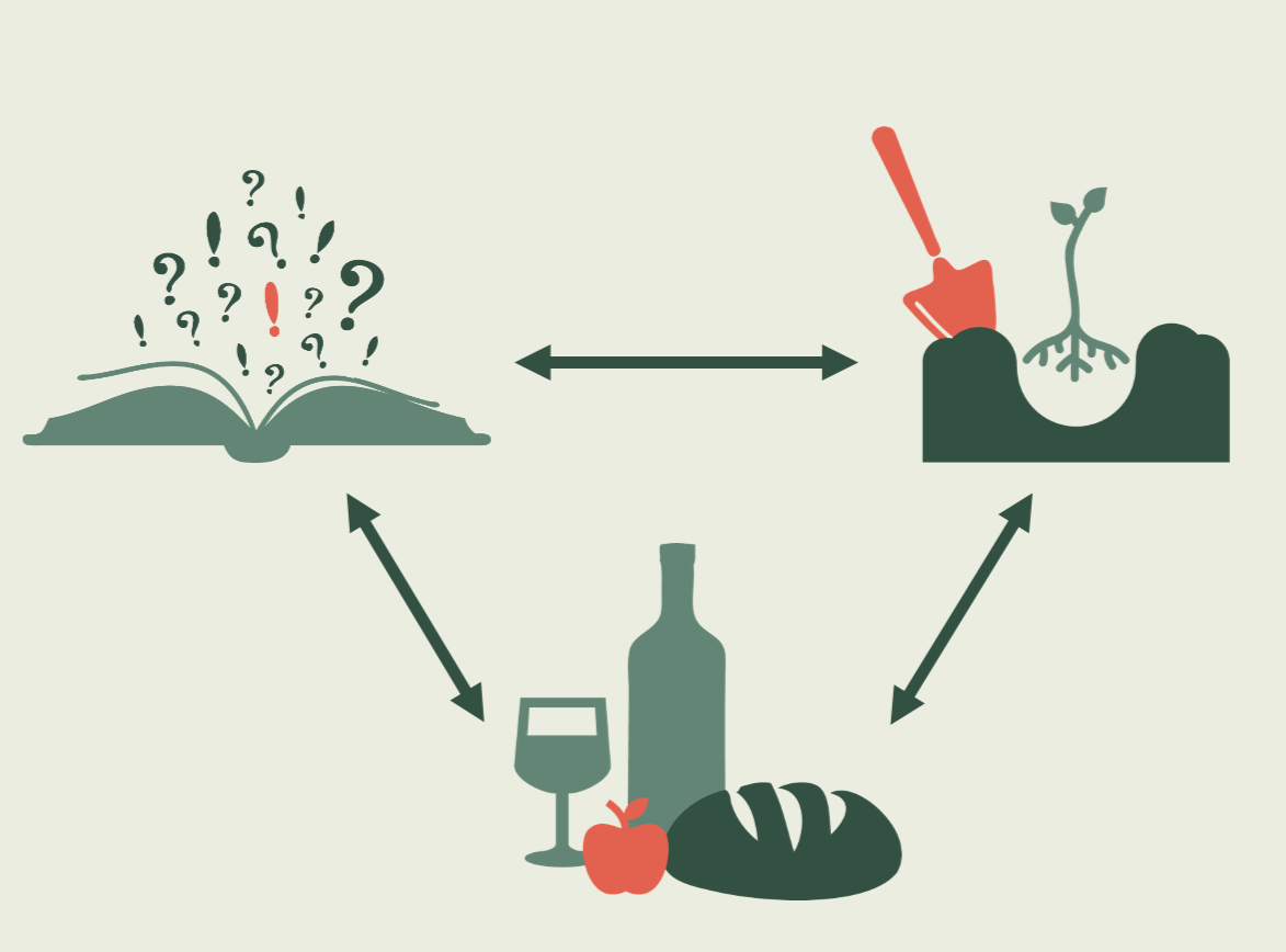 Ein Diagramm, das die Beziehung zwischen Wissen, Gartenarbeit und Ernährung zeigt, inklusive eines offenen Buchs mit Fragenzeichen, einer Hand mit Schaufel beim Pflanzen, und Lebensmittel wie Brot, Wein und Apfel.
