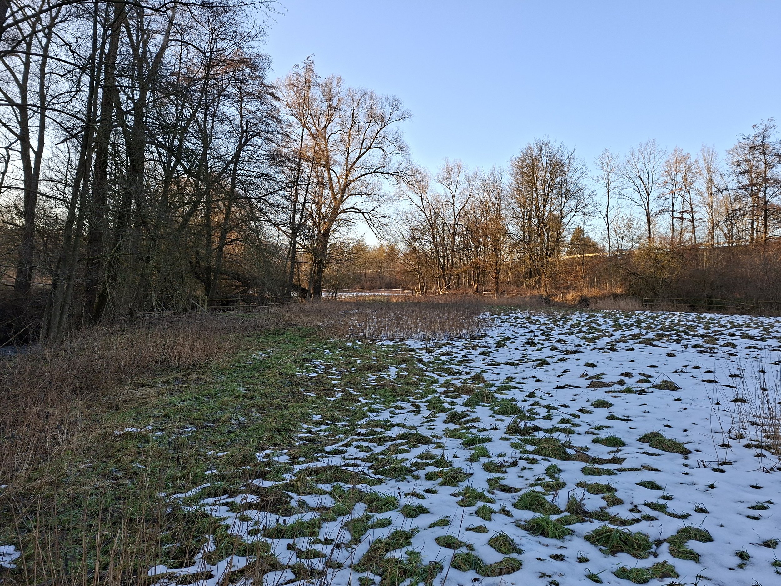 Landschaft mit Baumreihen, teilweise beschneitem Boden, blauen Himmel, schräg laufender Pfad im Vordergrund.