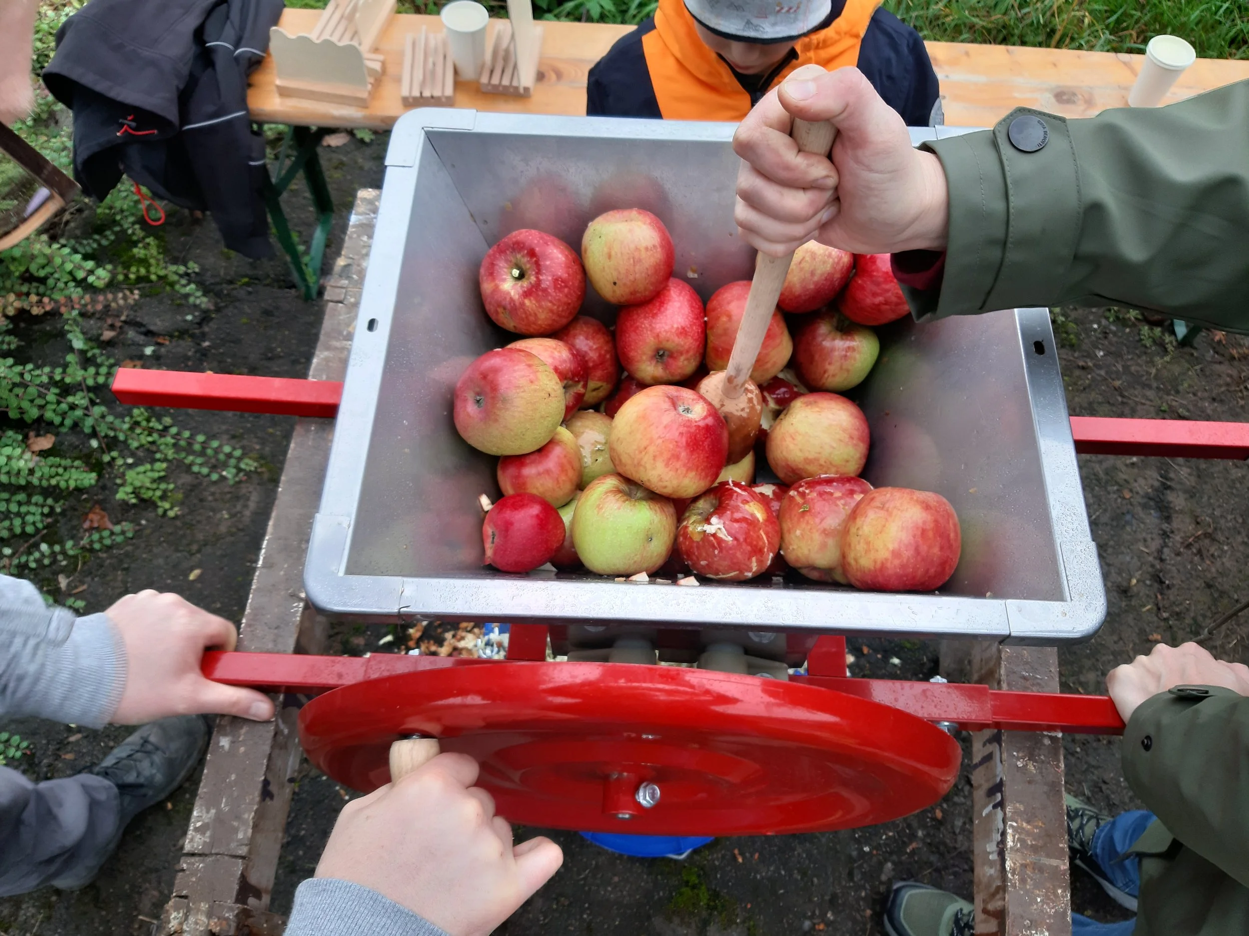 Mehrere Menschen pressen Äpfel in eine Apfelsaftpresse im Freien.