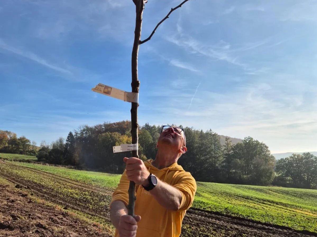 Einzelbaumpatenschaft