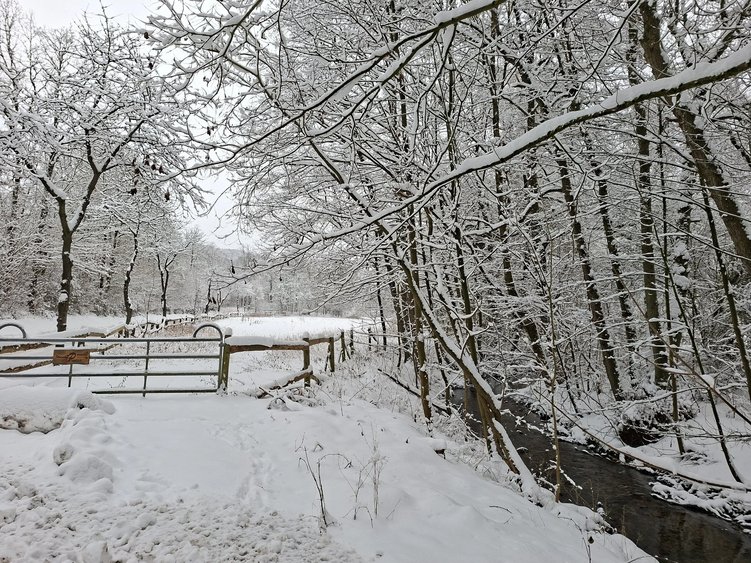 Schneebedeckte Baum- und Zaunlandschaft mit einem kleinen Fluss in einer Winterlandschaft.