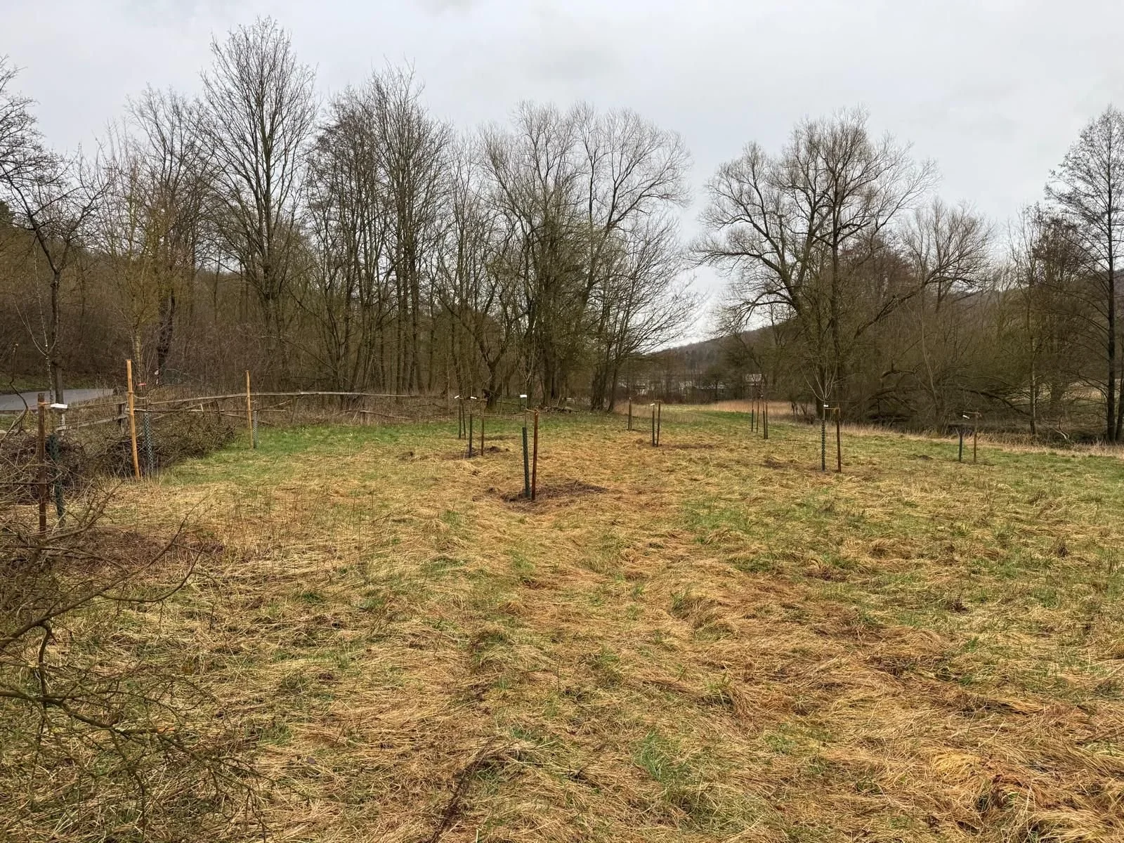 Pflanzen am Hilgenbach (Firmen-Event)