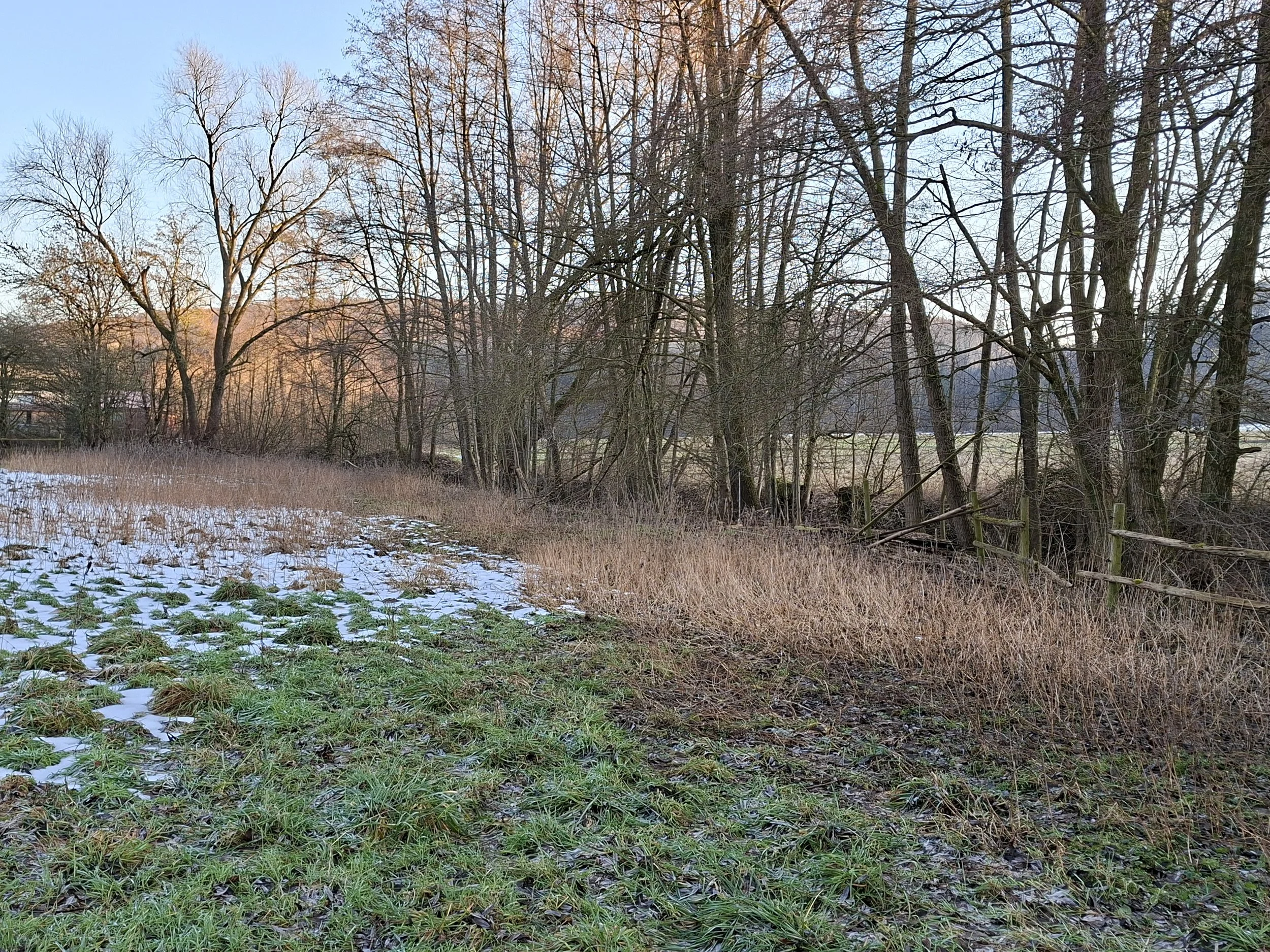 Eine winterliche Landschaft mit Bäumen, einem Weg und teilweise schneebedeigtem Gras.