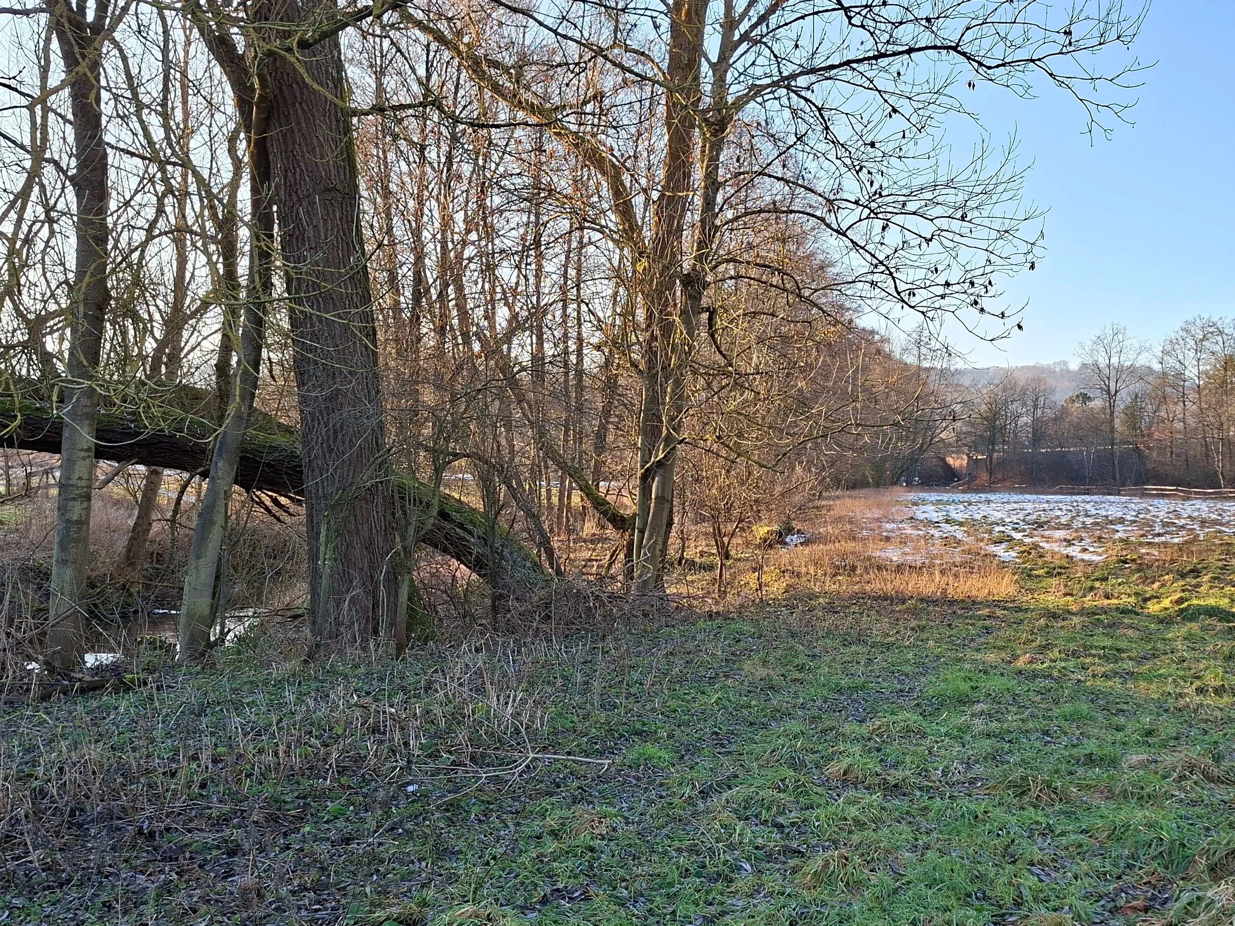 Ein winterlicher Flusslauf mit Bäumen am Ufer, teils mit dünner Schneedecke bedeckt, bei Sonnenlicht.