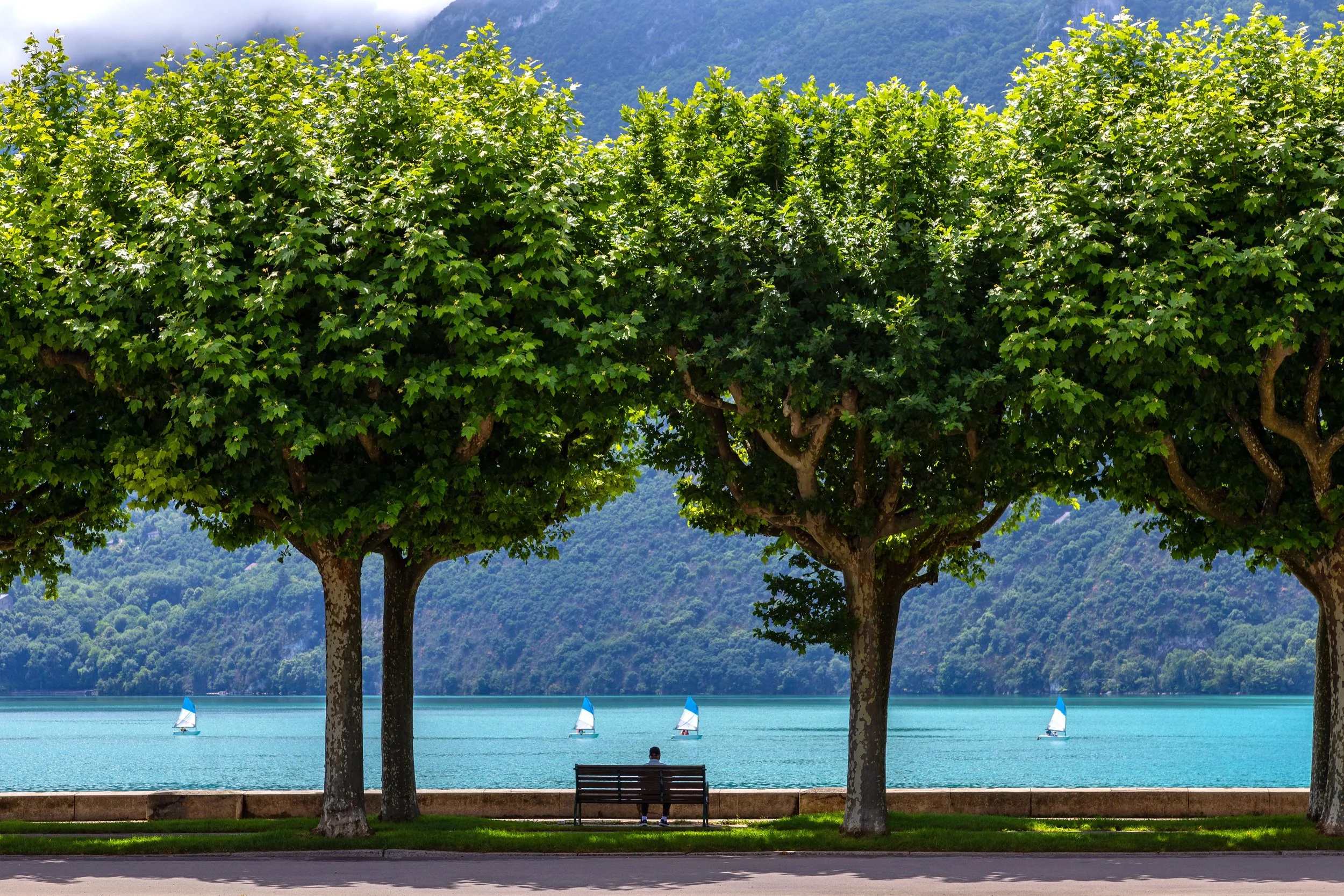 Paysage d'un lac calme avec des arbres au premier plan et des montagnes en arrière-plan, symbolisant une destination de voyage naturelle