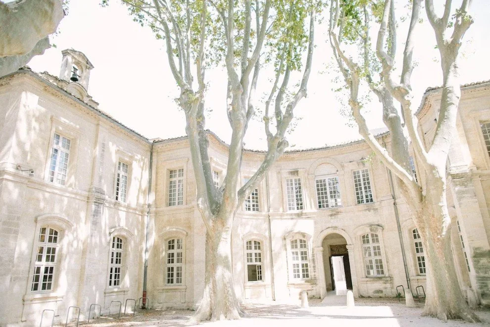 Cour intérieure historique de l'Hôtel Le Cloître Saint-Louis à Avignon, mettant en valeur l'architecture classique en pierre et un grand arbre central. Idéal pour les événements de prestige.