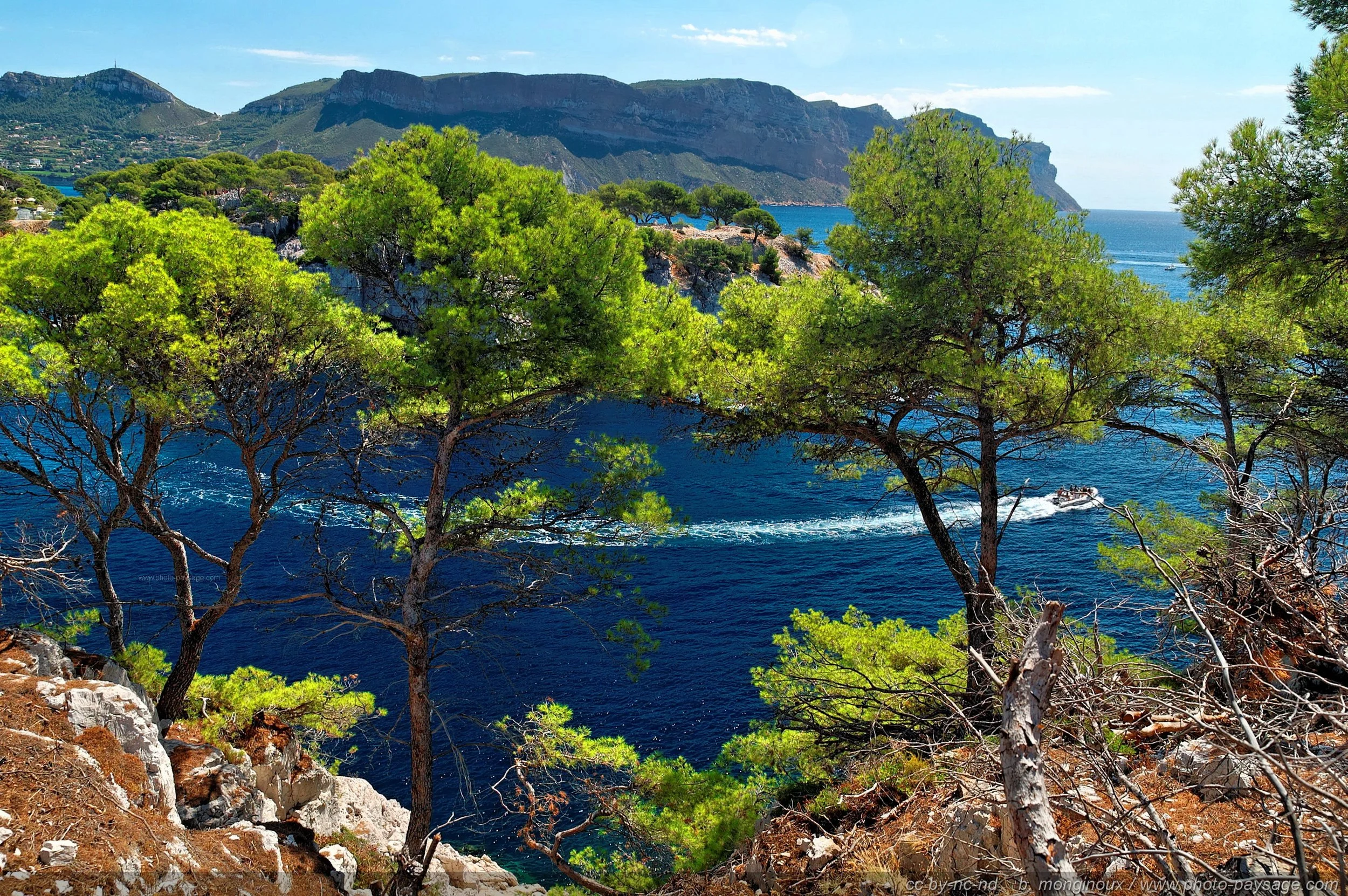 Cassis