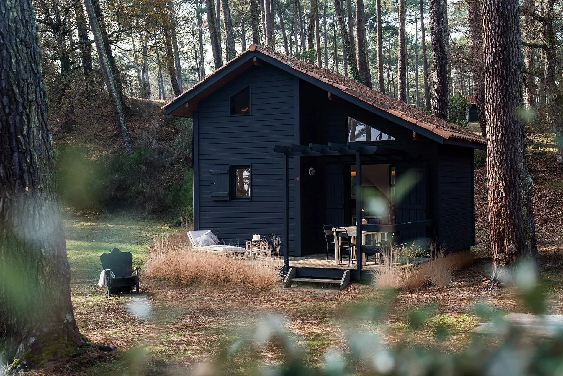 Cabane noire de conception moderne, style refuge, niché dans une forêt dense de pins. L’architecture est minimaliste et intégrée à la nature.