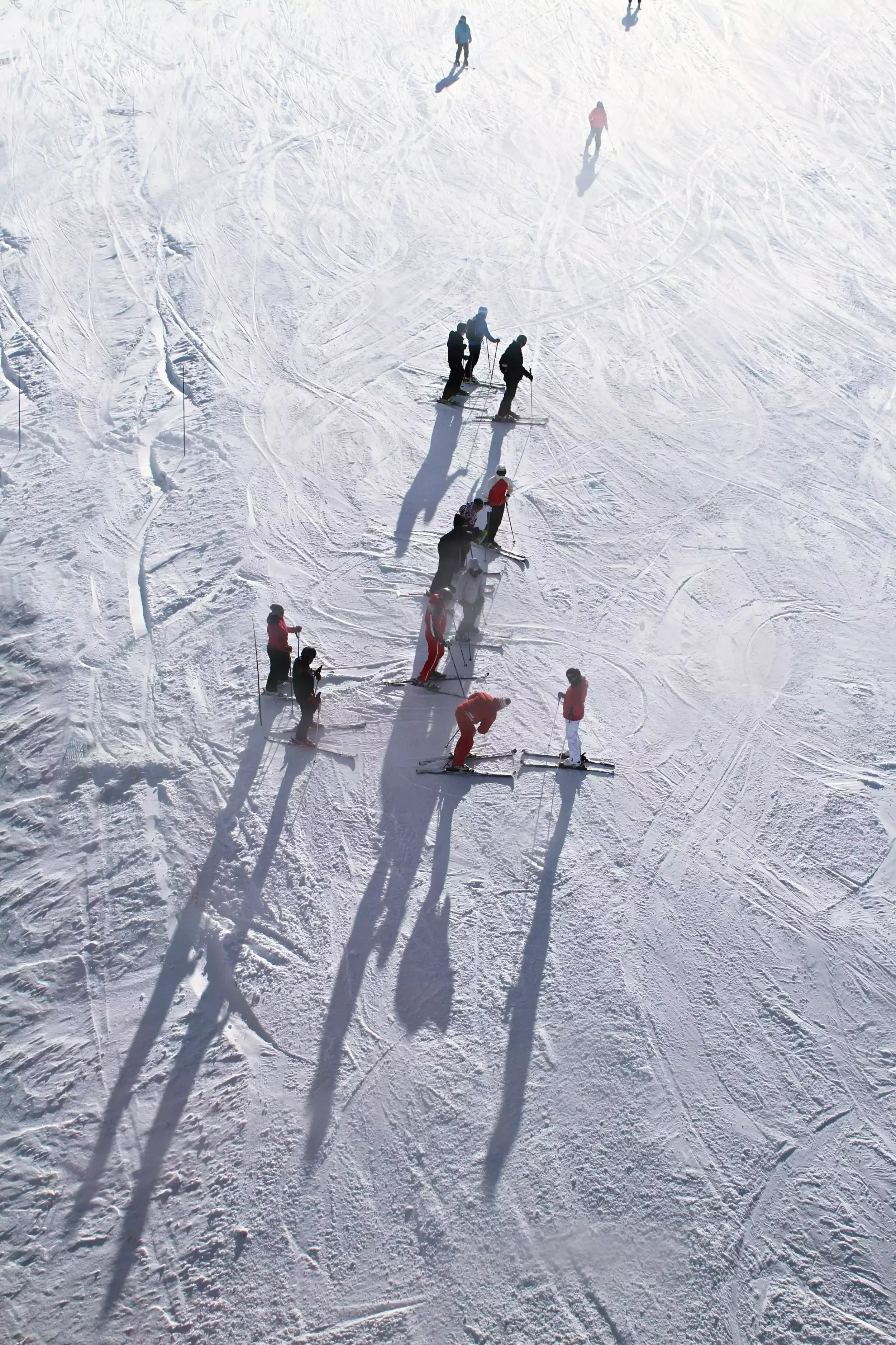 Groupe de skieurs sur une piste de ski en séminaire avec Aylo montagne, avec des ombres allongées sur la neige. On voit plusieurs personnes faire du ski et un guide aider un participant.