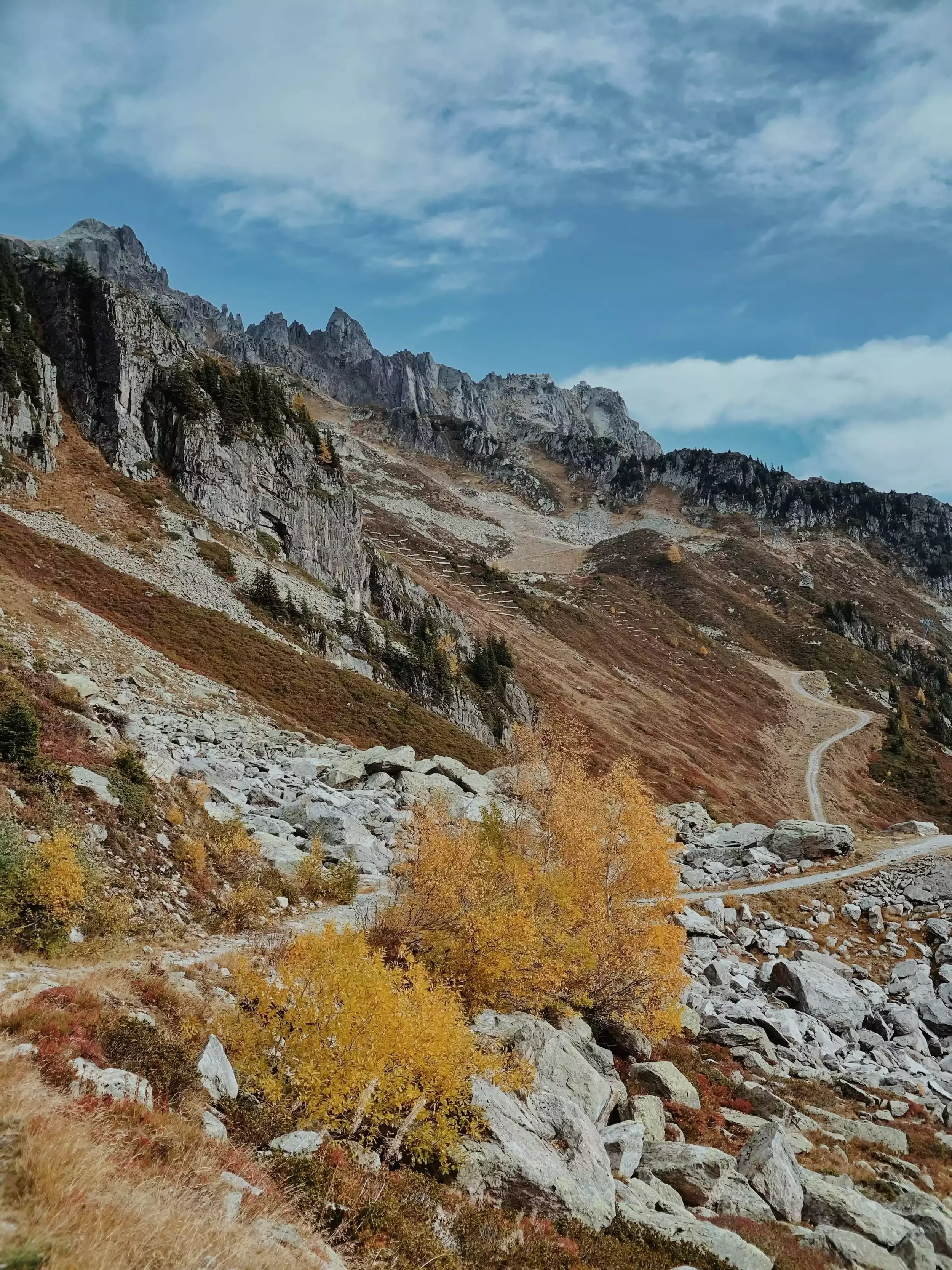 Paysage de montagne à Chamonix Été, montrant un sentier rocheux entouré de végétation automnale aux tons dorés. Au fond se dressent des pics rocheux sous un ciel partiellement nuageux, idéal pour la randonnée.