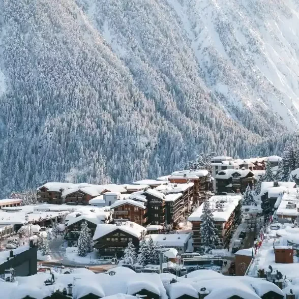 Vue panoramique de la station de Courchevel couverte de neige, avec des chalets et des bâtiments au pied d’une montagne boisée imposante.