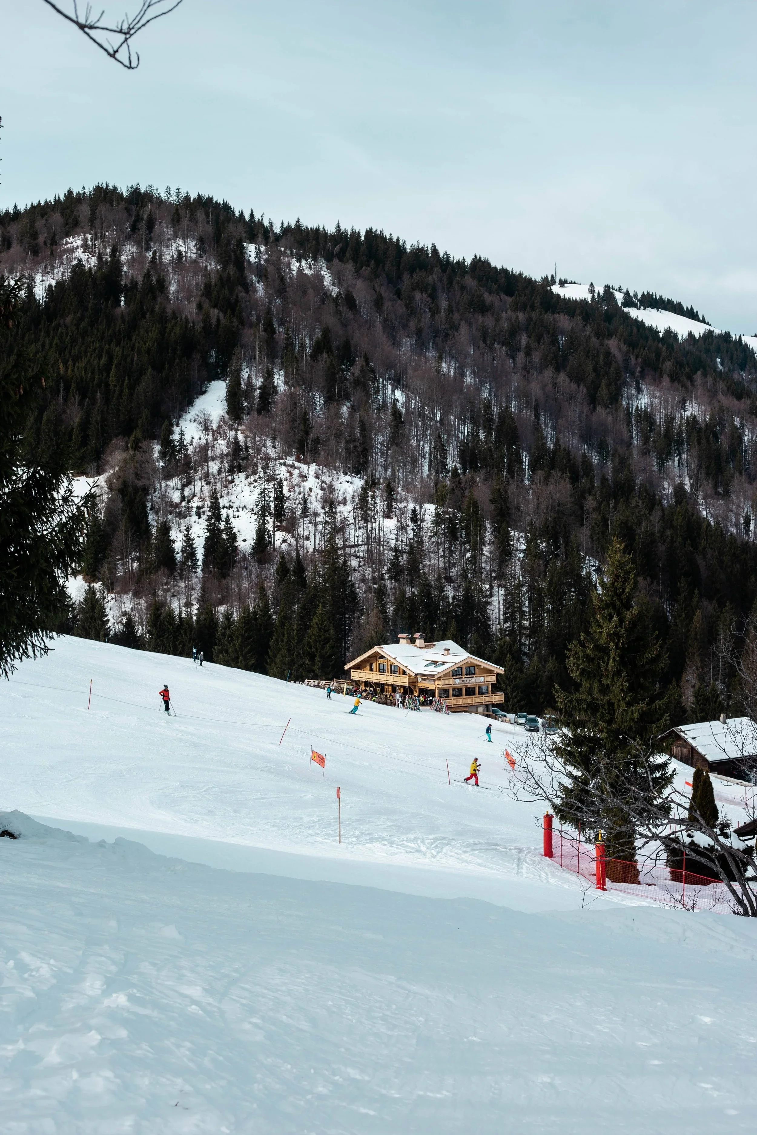 Vue d’une piste de ski à La Clusaz avec un restaurant de style chalet sur le versant. On voit des skieurs dans la neige et une épaisse forêt de pins sur la montagne.