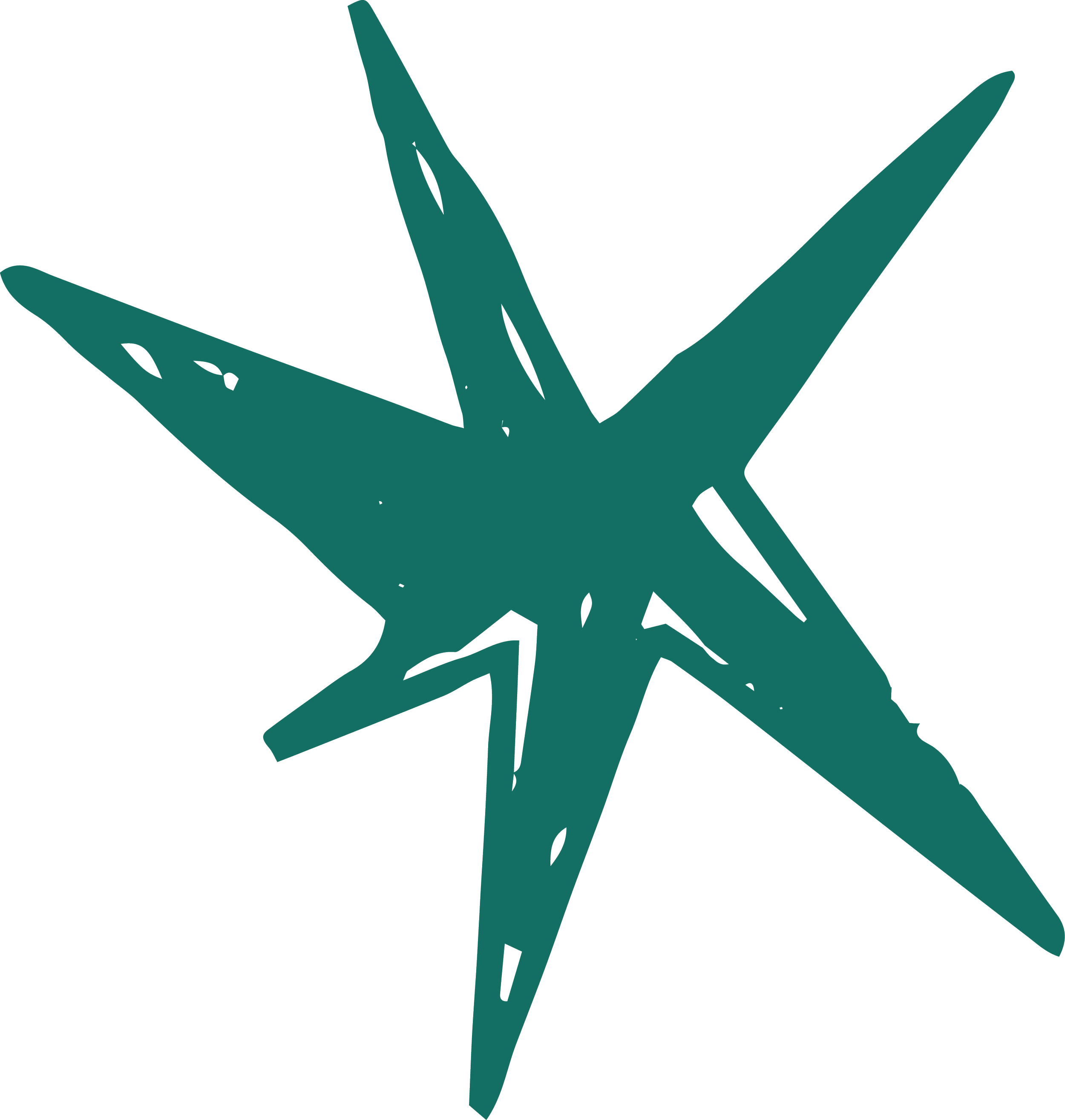 Une illustration minimaliste de plusieurs feuilles d'Aloe Vera stylisées en couleur vert foncé sur fond transparent.