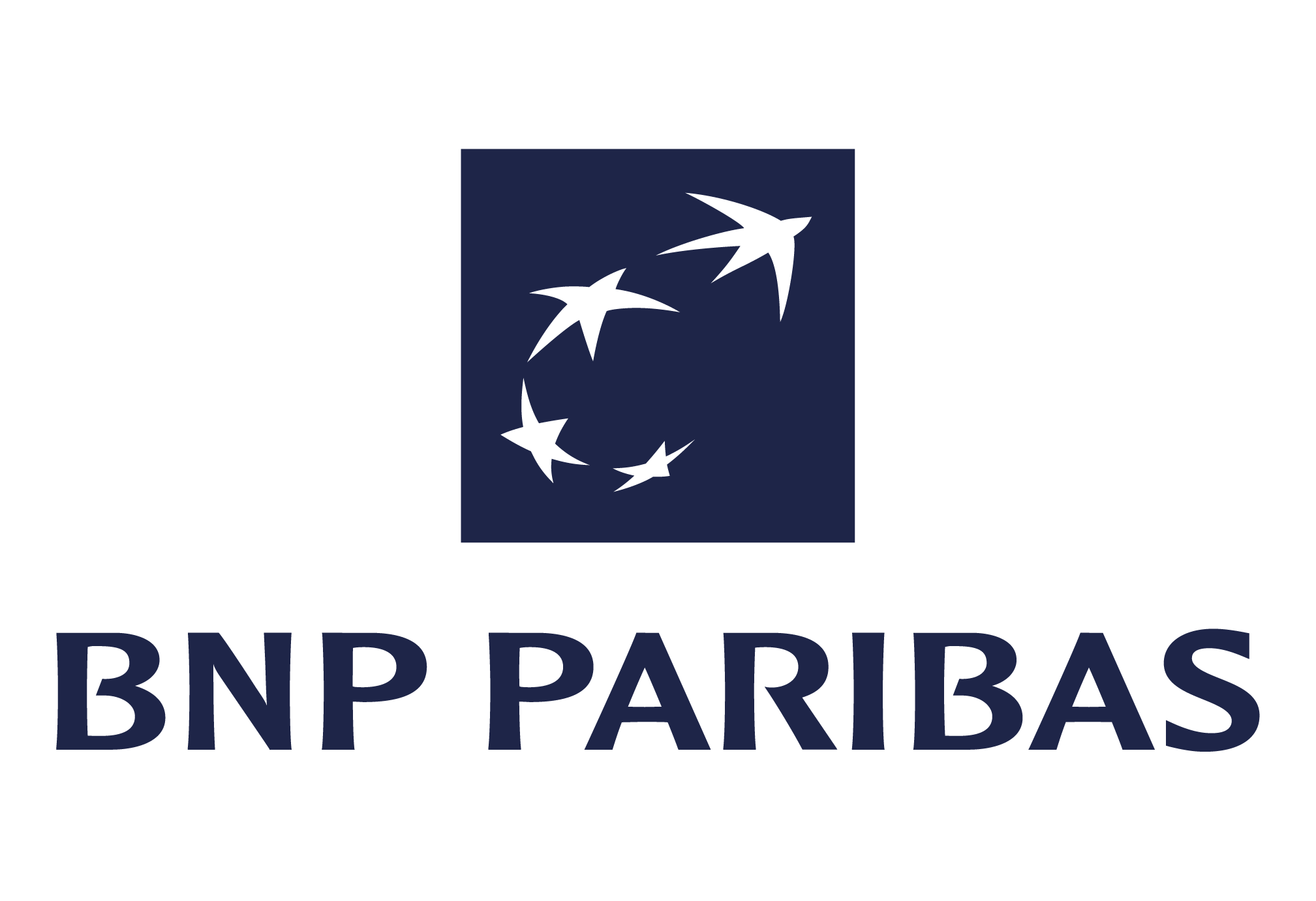 Logo de BNP Paribas avec deux oiseaux noirs stylisés et le texte BNP PARIBAS