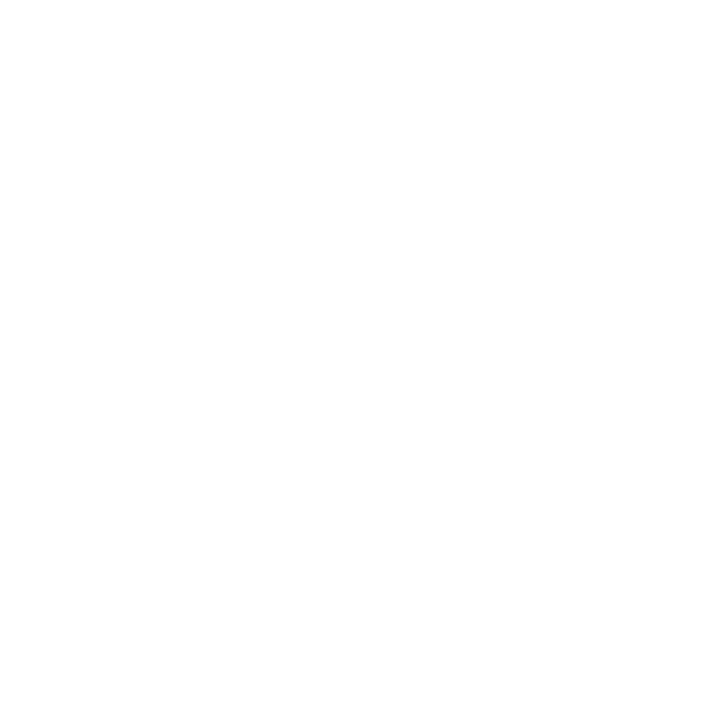 Logo d'une entreprise de vidéo surveillance en noir et blanc.