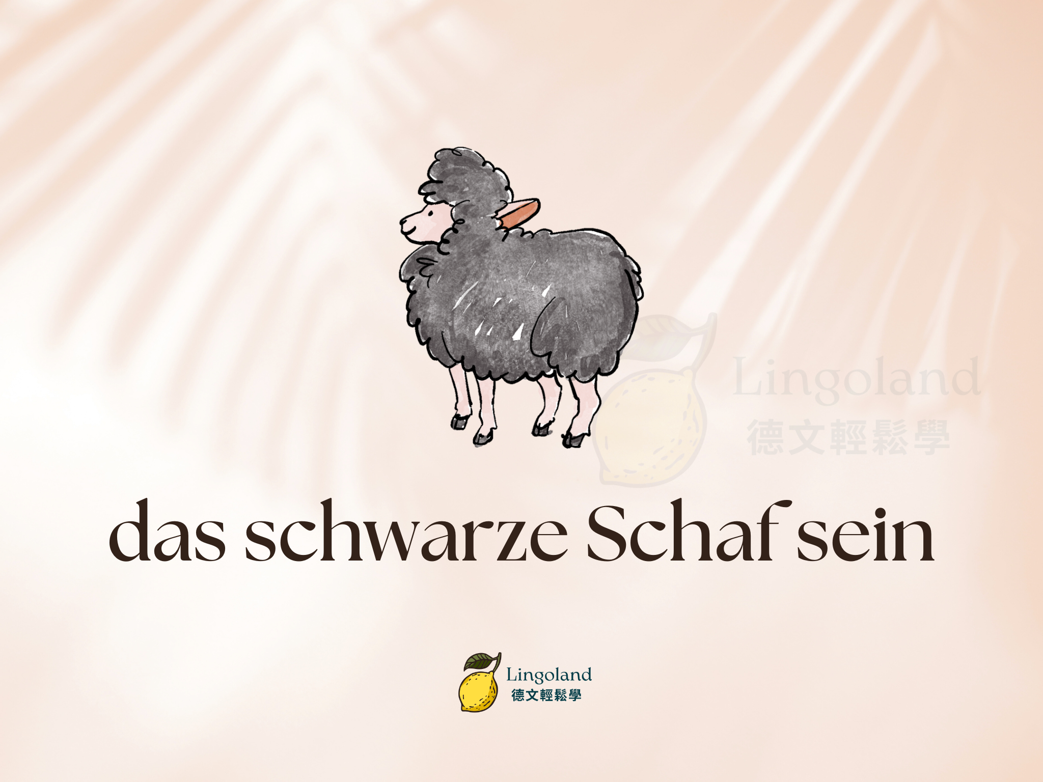 【德文生活諺語 #001】das schwarze Schaf sein